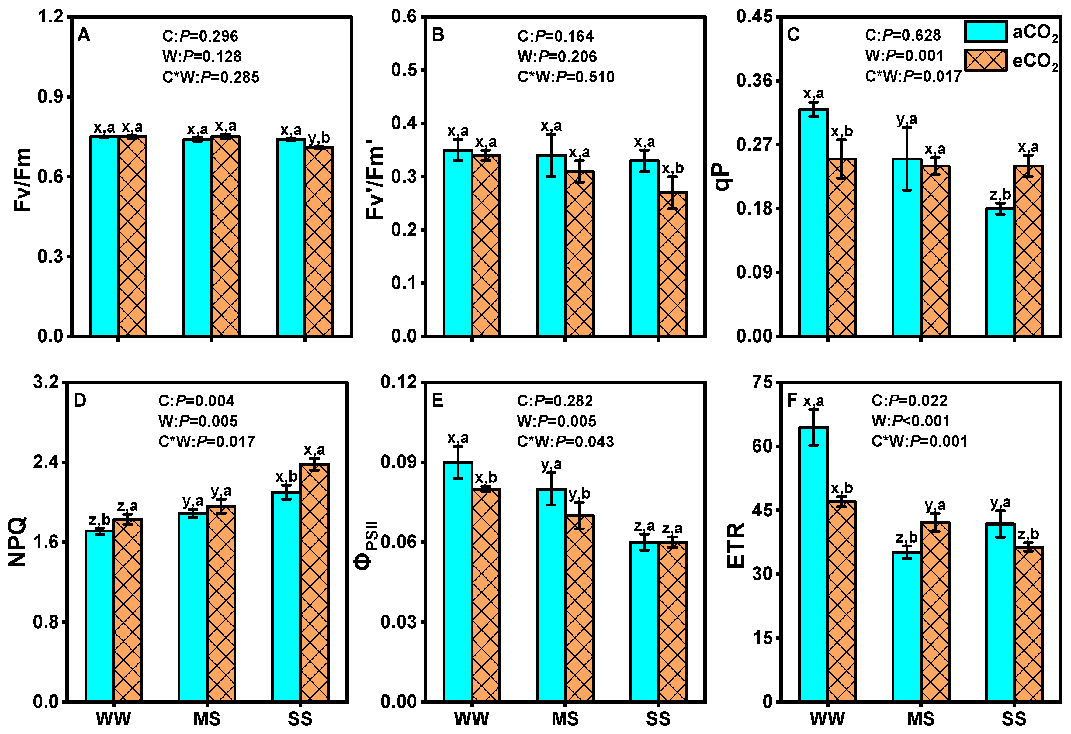 Antioxidants 14 00383 g003