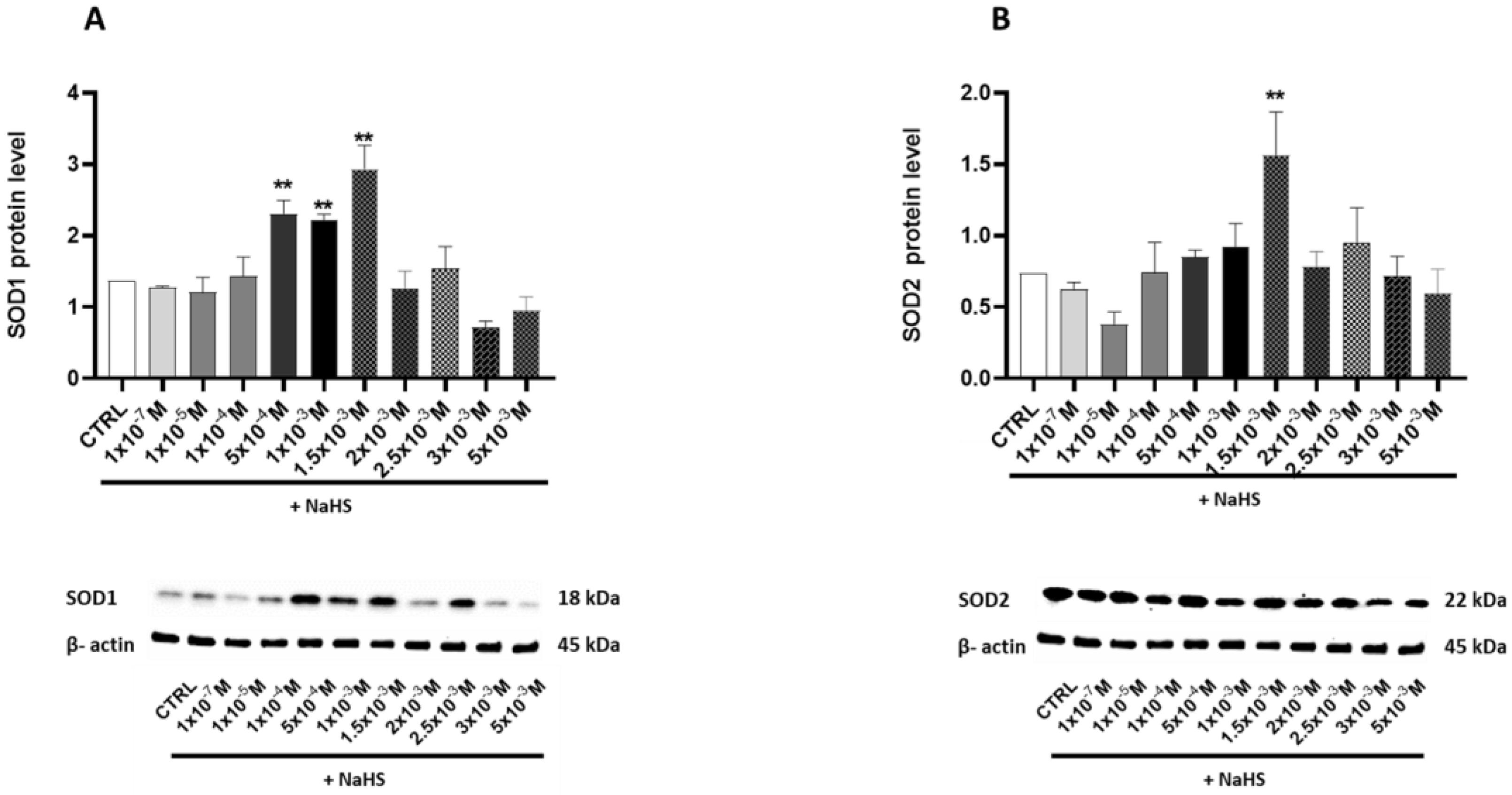 Antioxidants 14 00384 g004