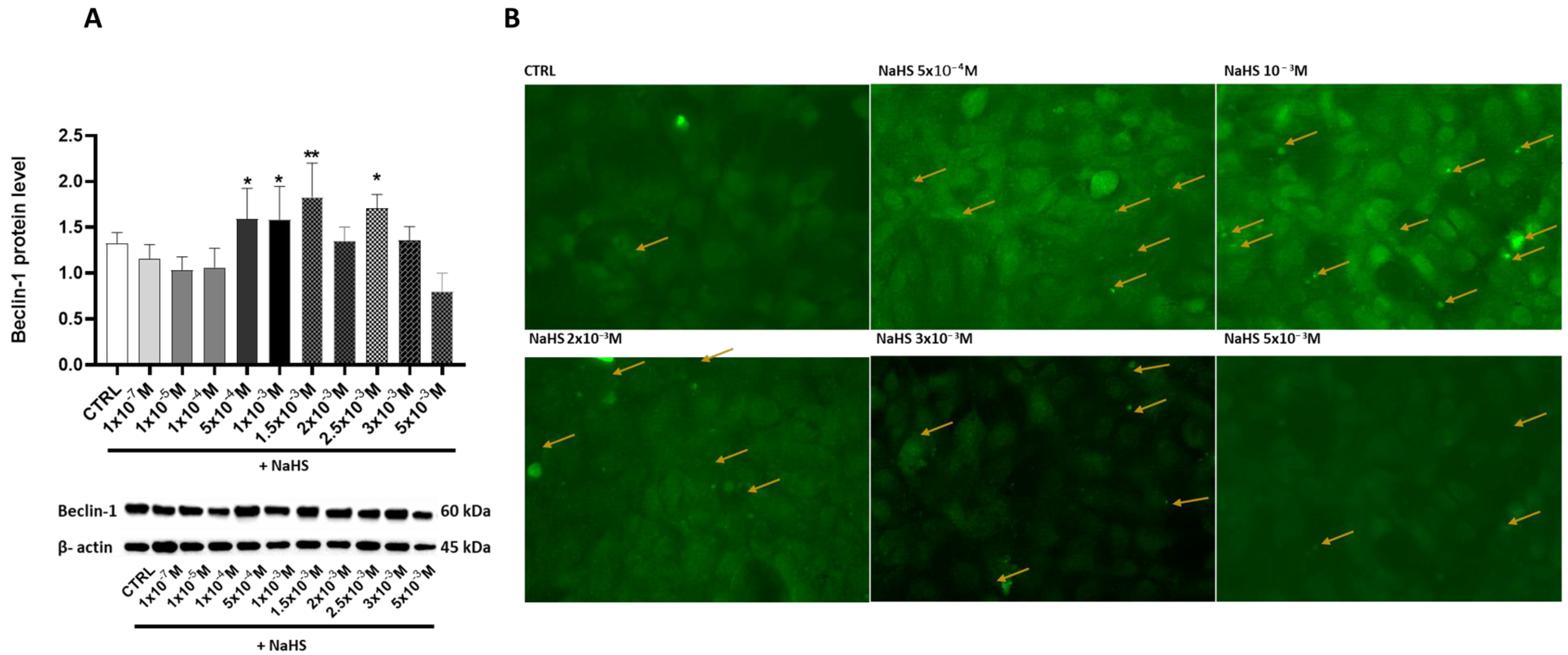 Antioxidants 14 00384 g006