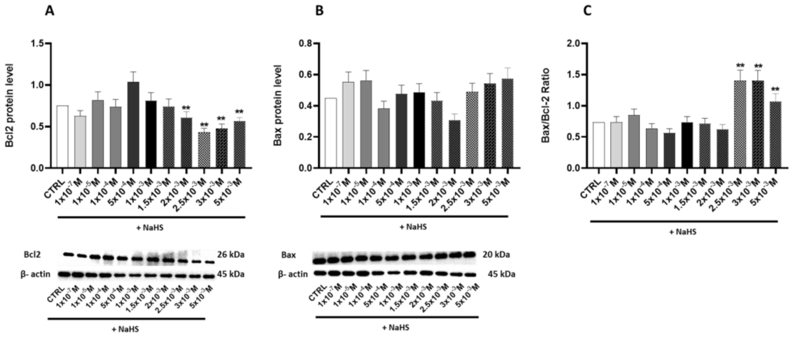Antioxidants 14 00384 g007