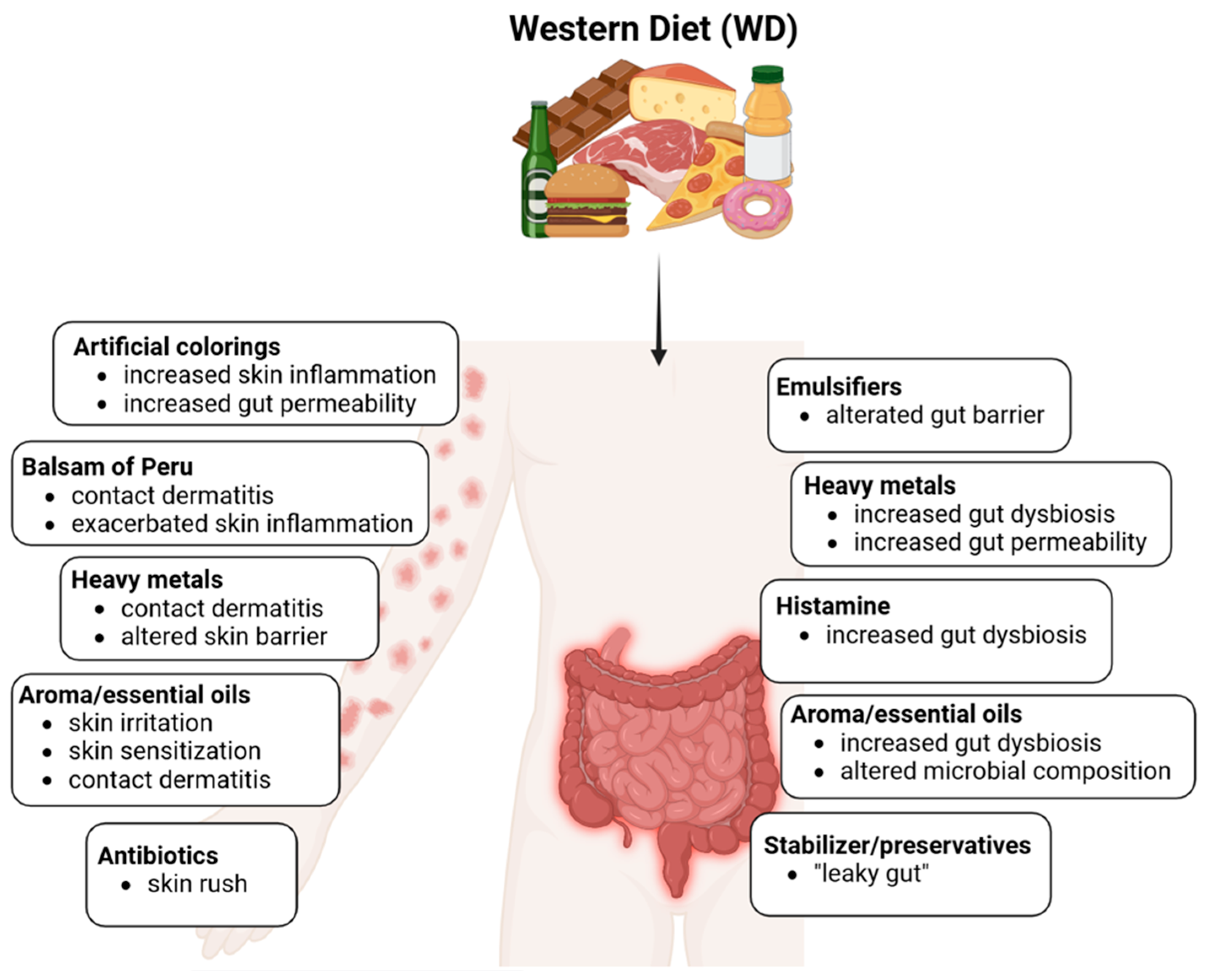 Antioxidants 14 00386 g003