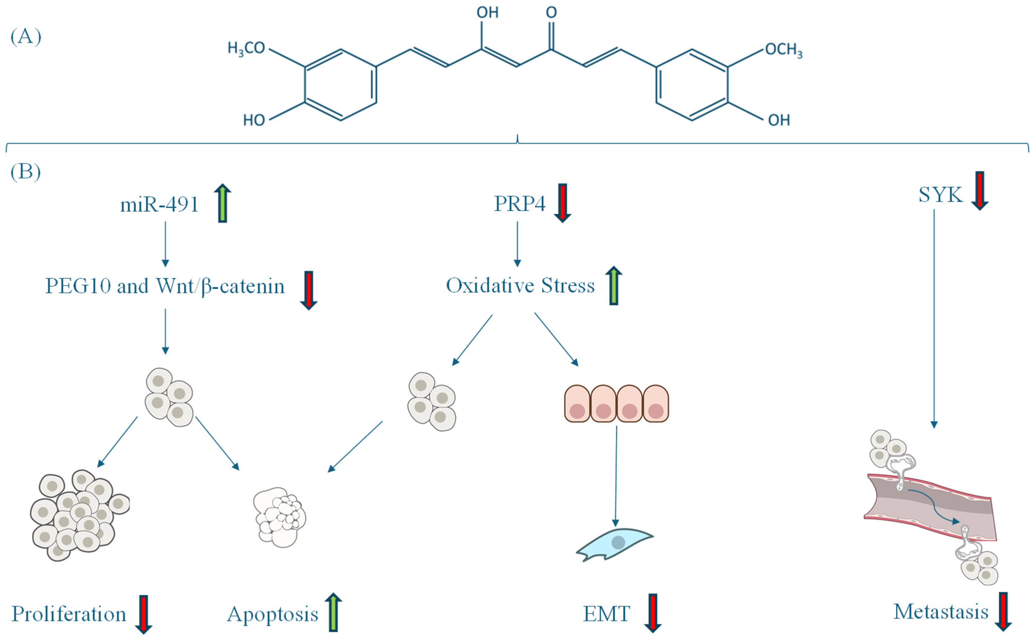 Antioxidants 14 00388 g003