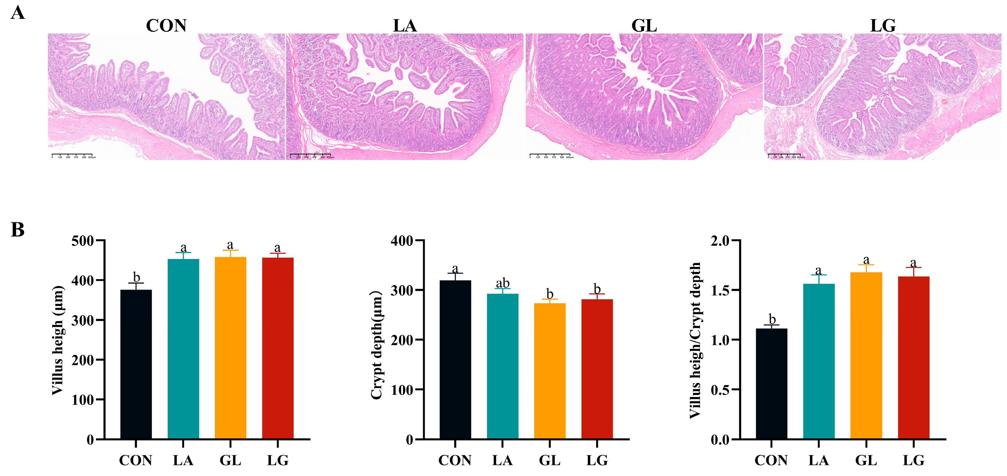 Antioxidants 14 00391 g002