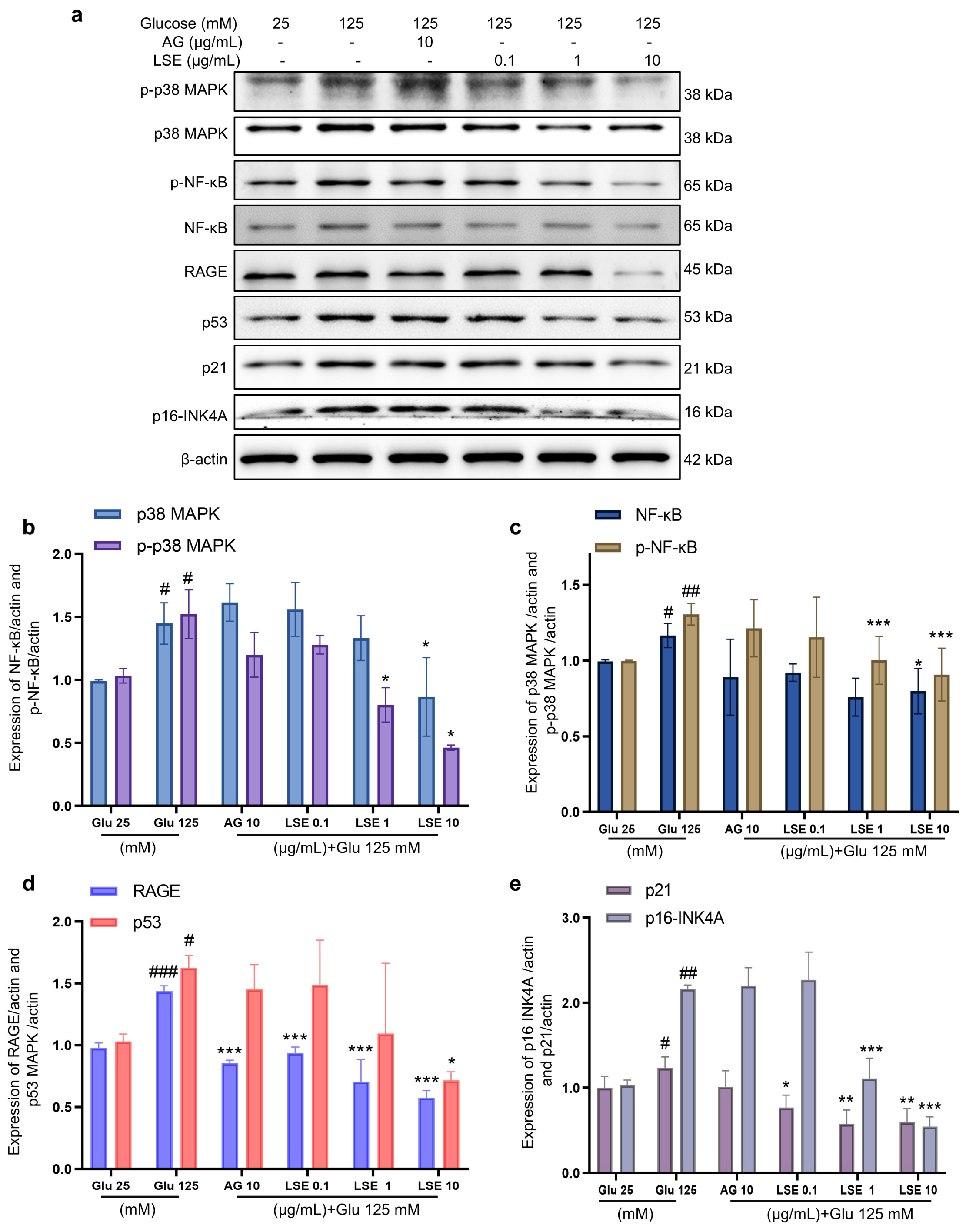 Antioxidants 14 00392 g008