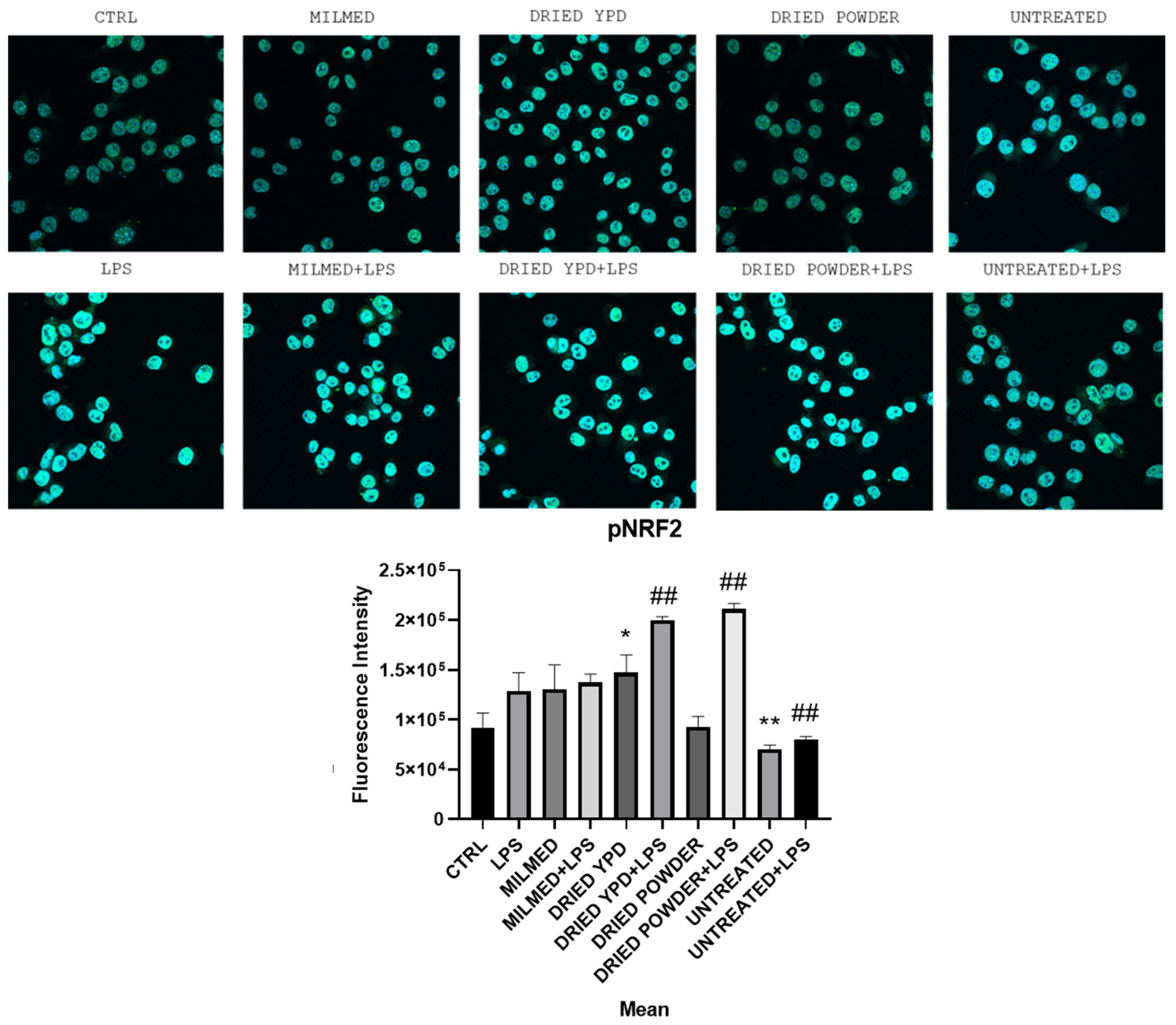 Antioxidants 14 00393 g006