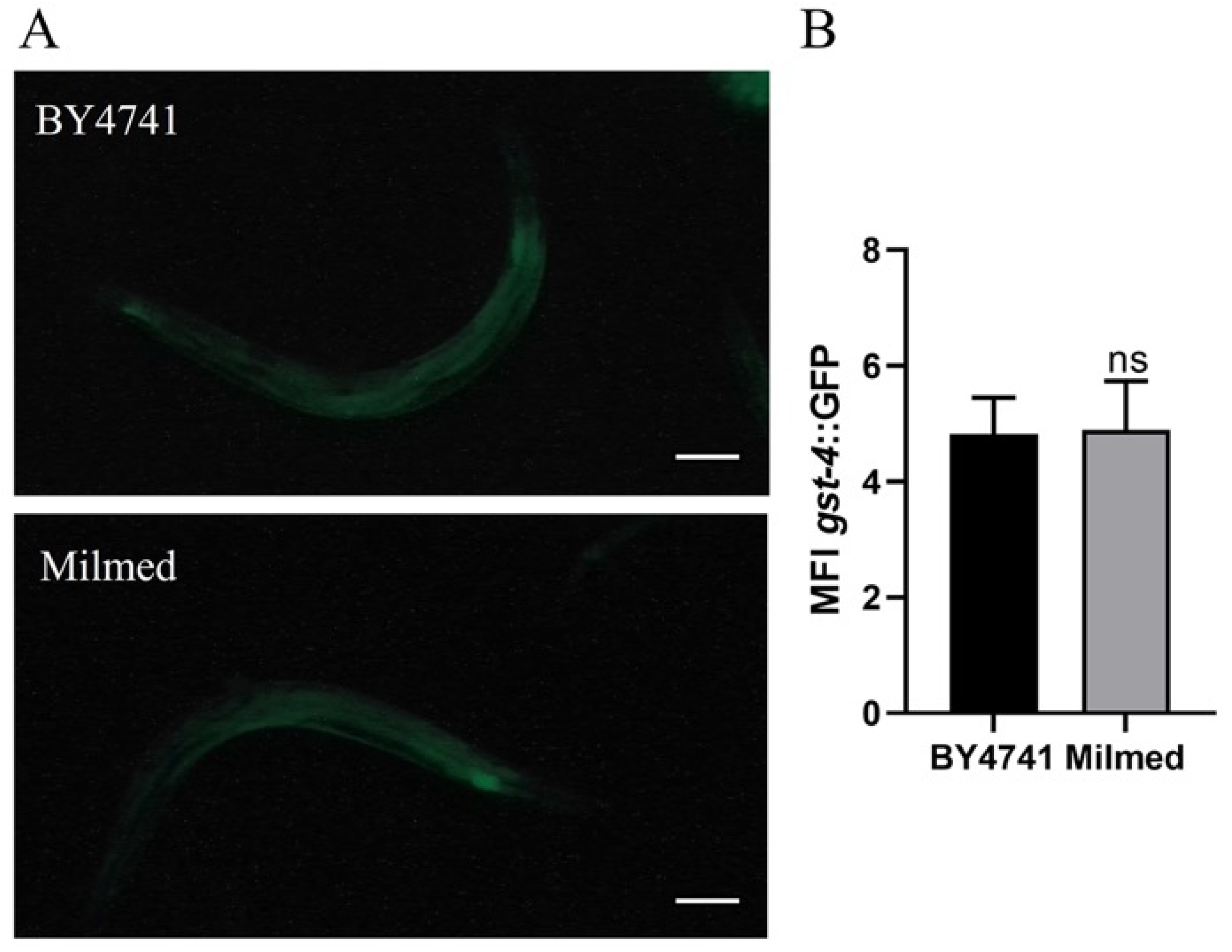 Antioxidants 14 00393 g009