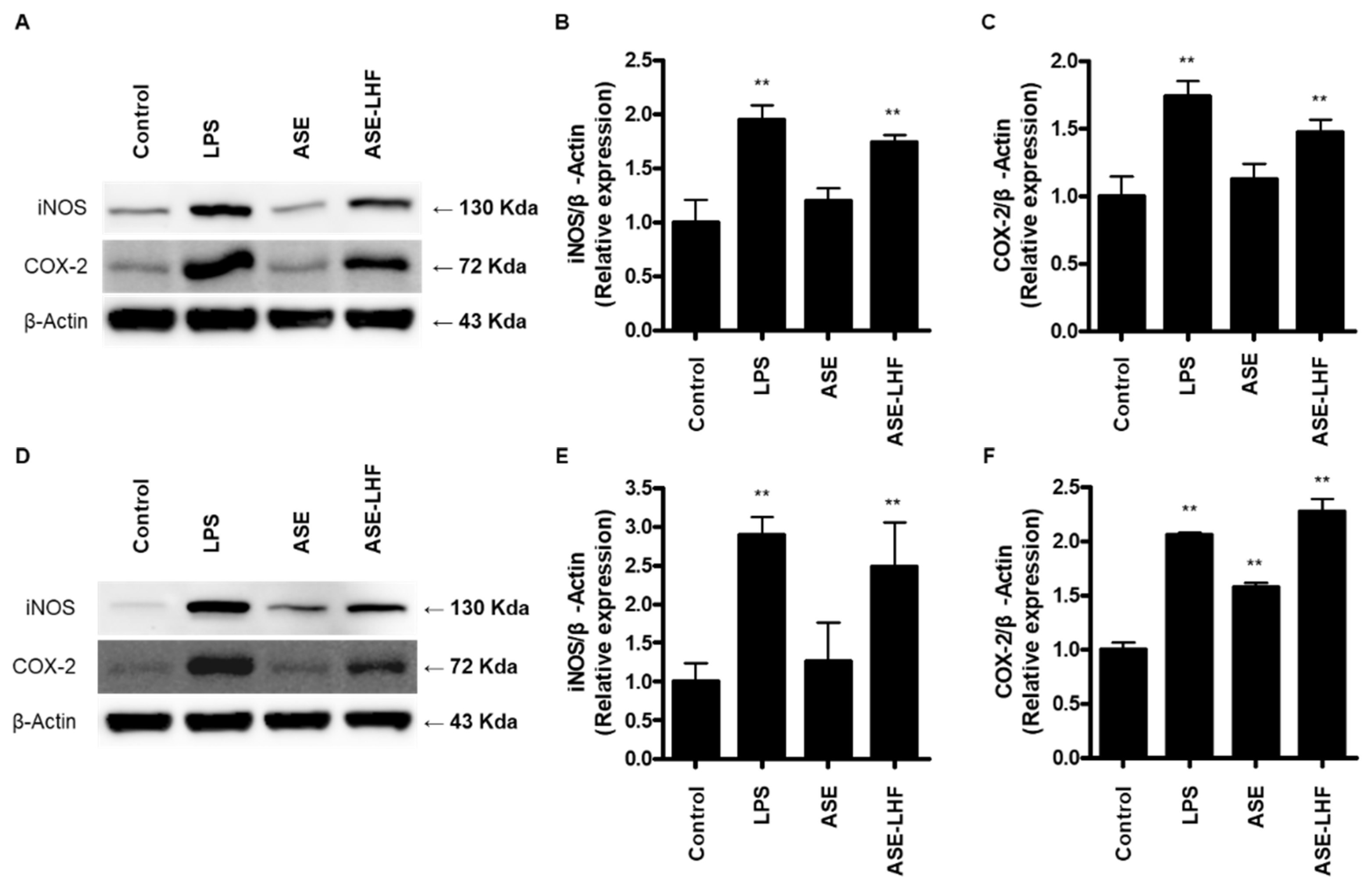 Antioxidants 14 00397 g004