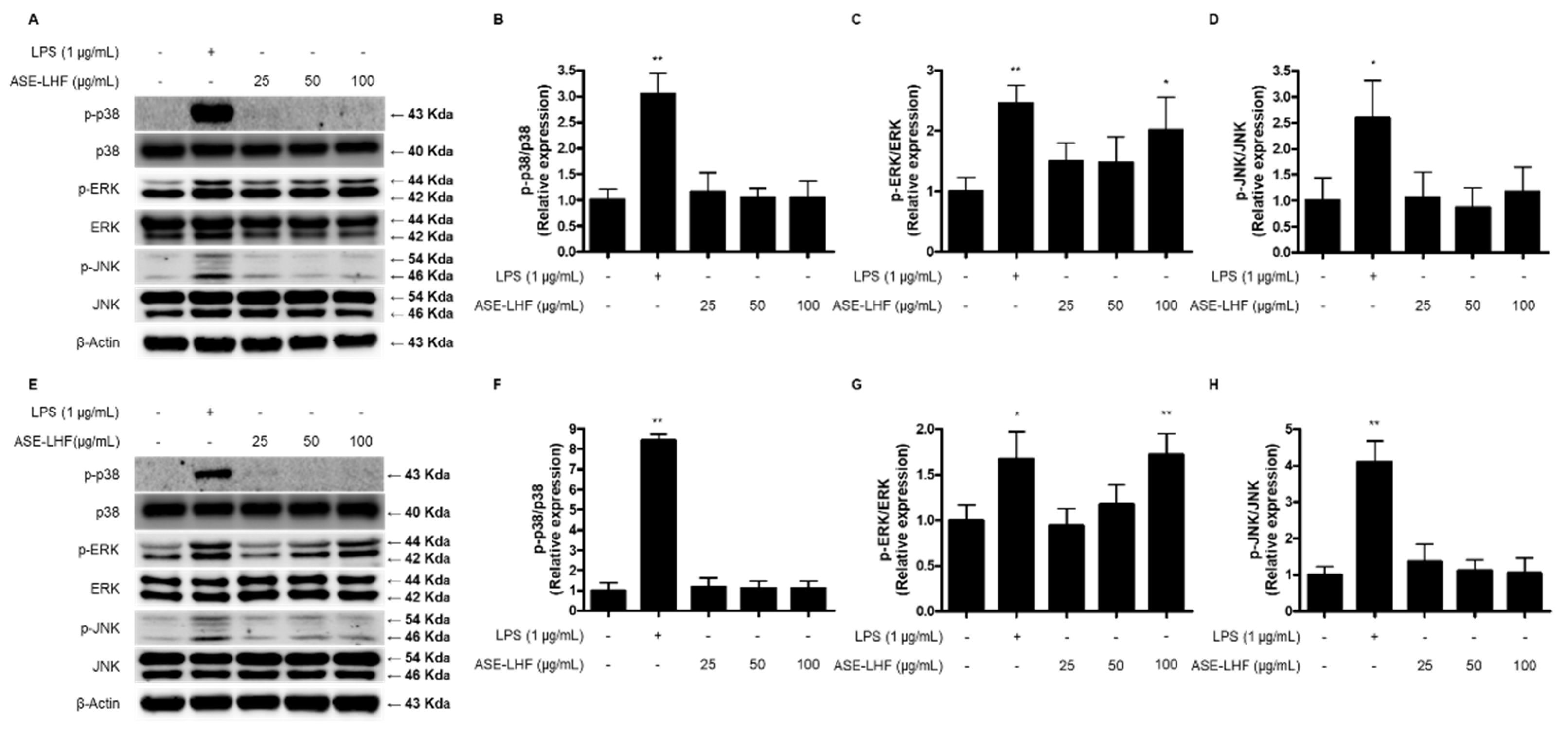 Antioxidants 14 00397 g007