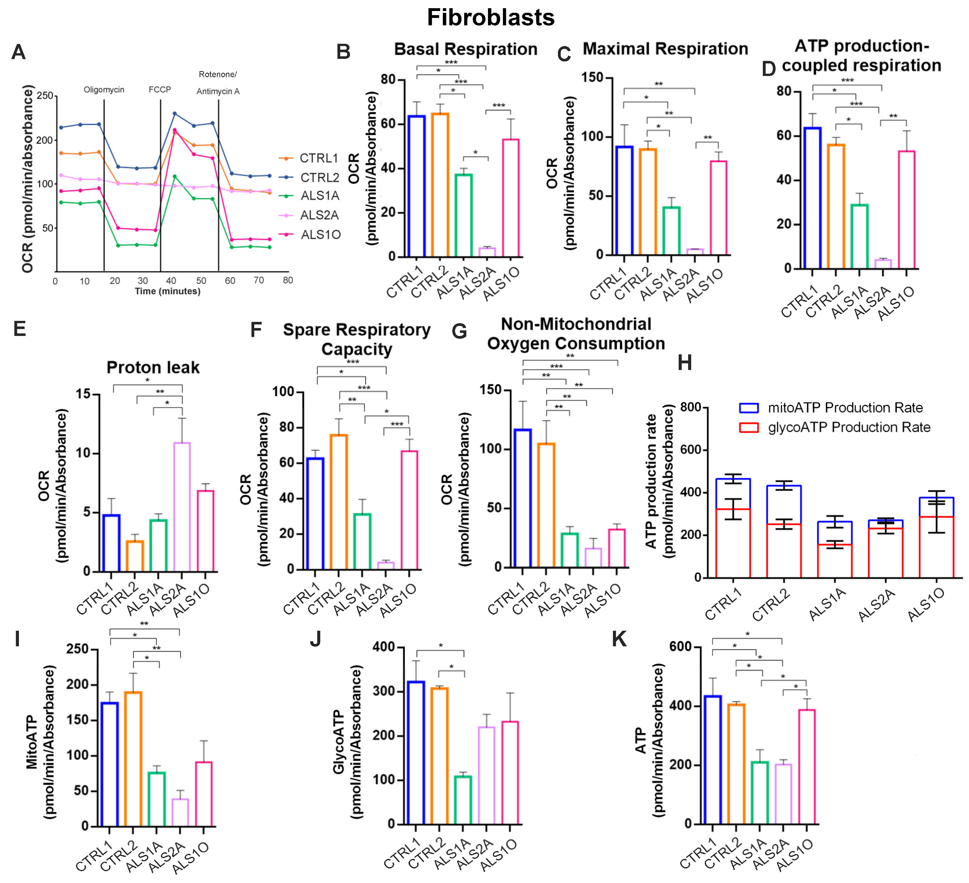 Antioxidants 14 00401 g004