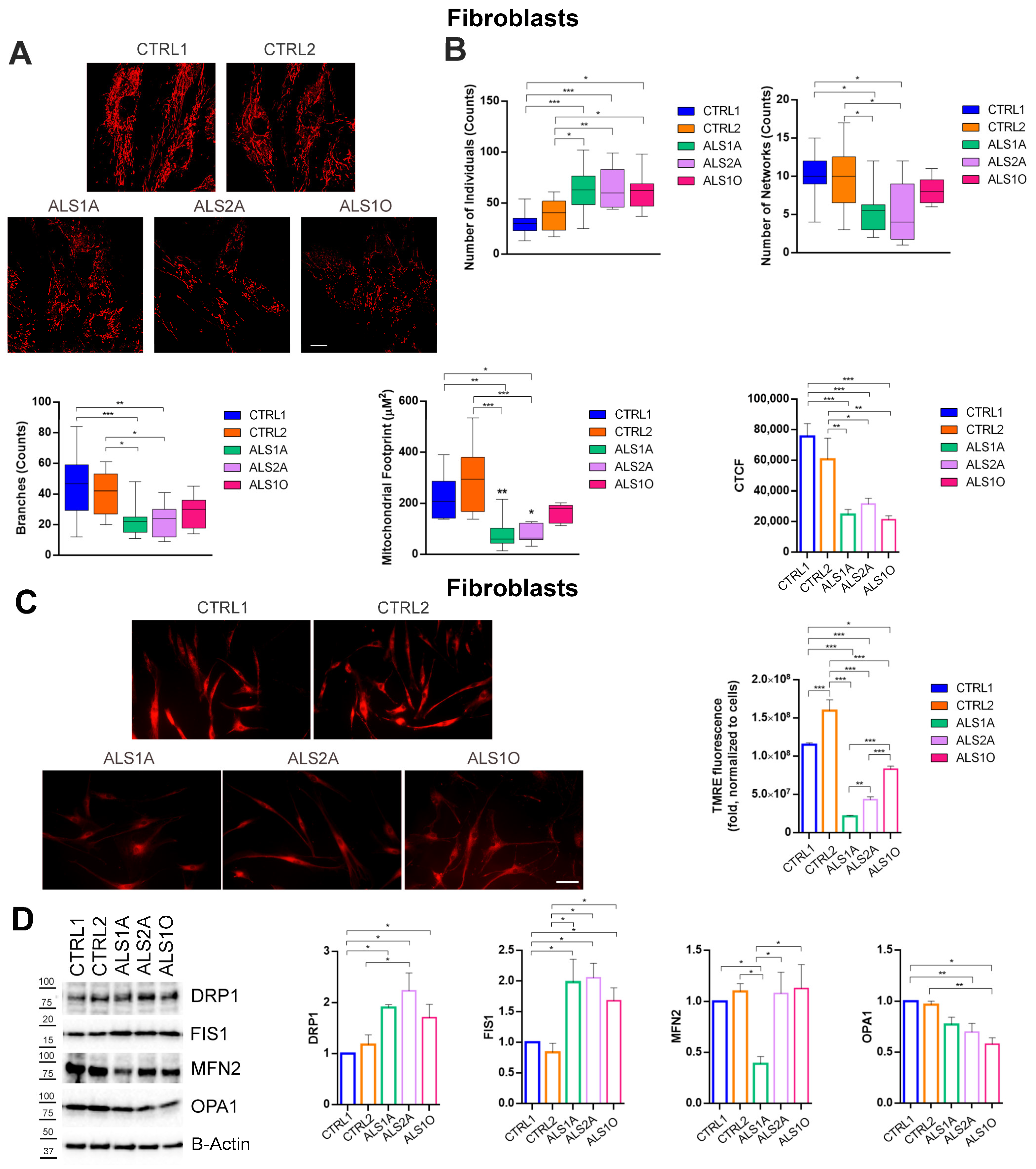Antioxidants 14 00401 g006