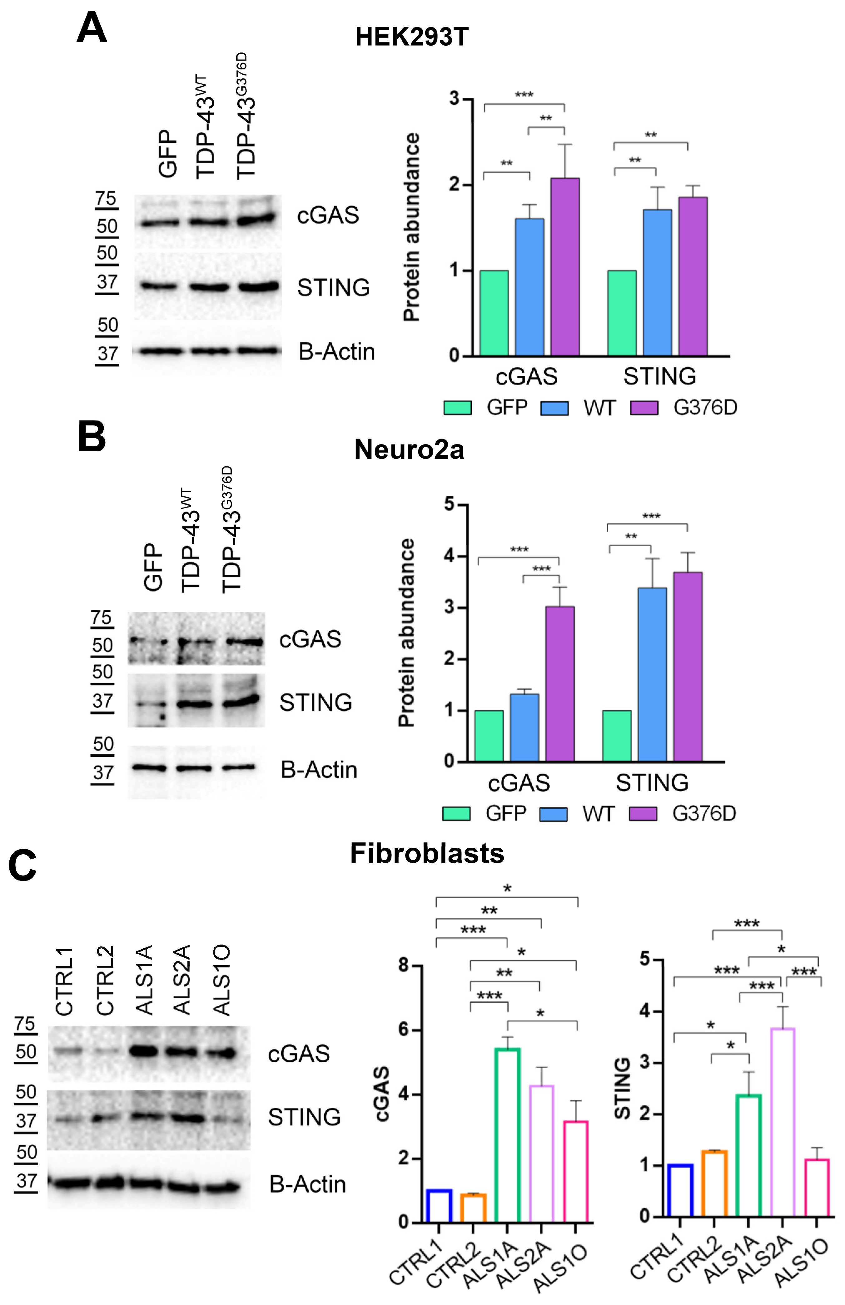 Antioxidants 14 00401 g008