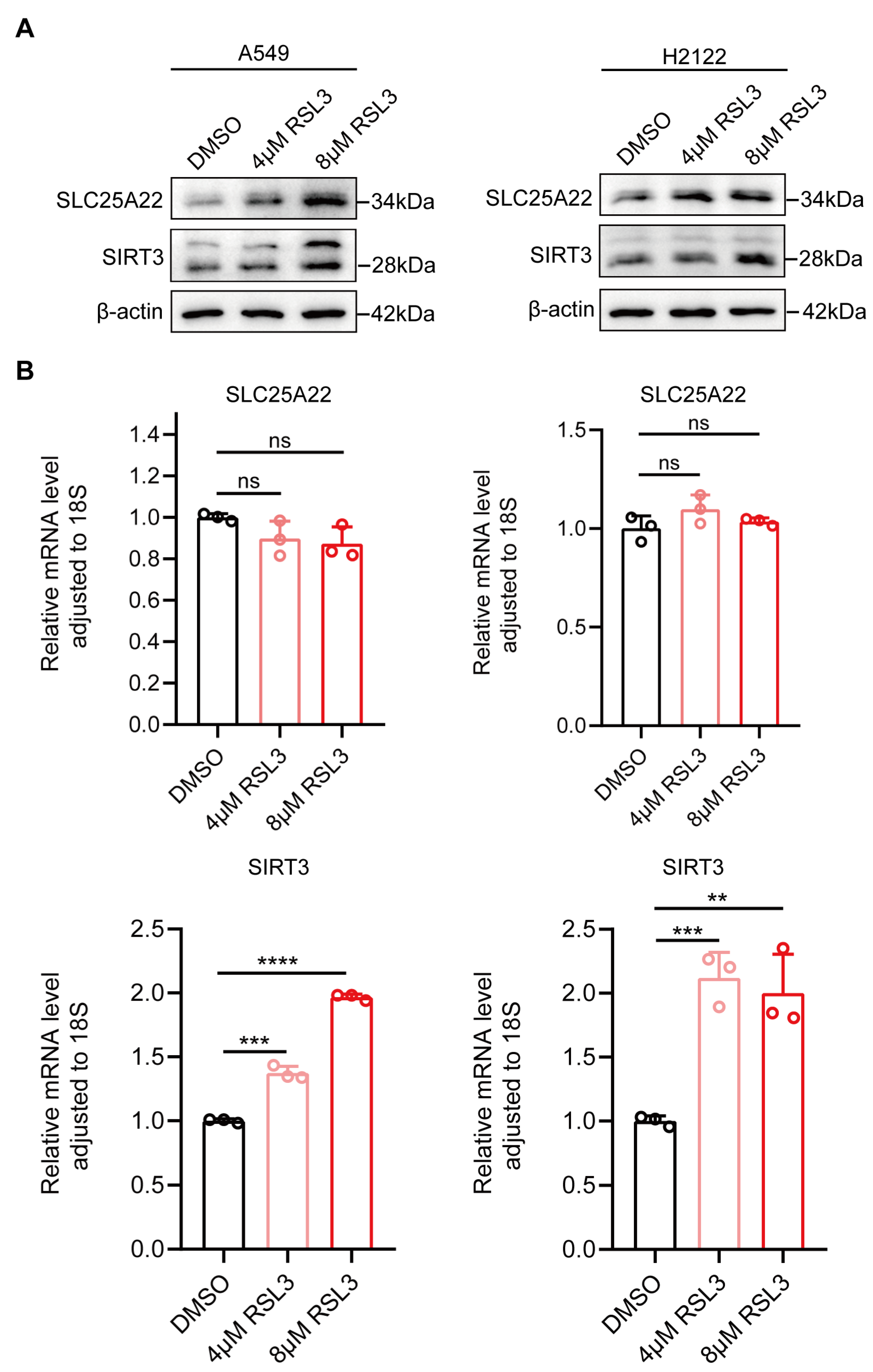 Antioxidants 14 00403 g003