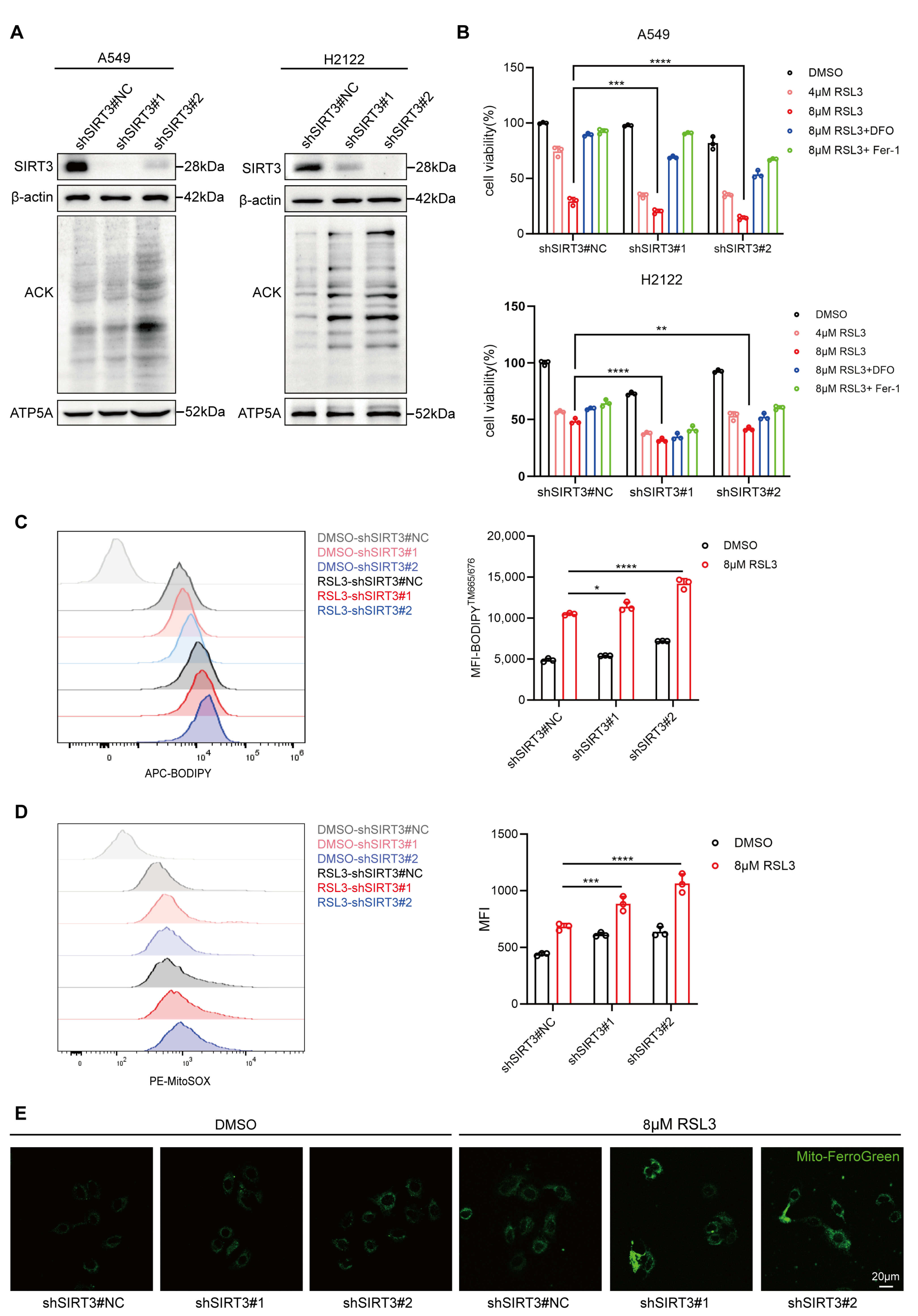 Antioxidants 14 00403 g004