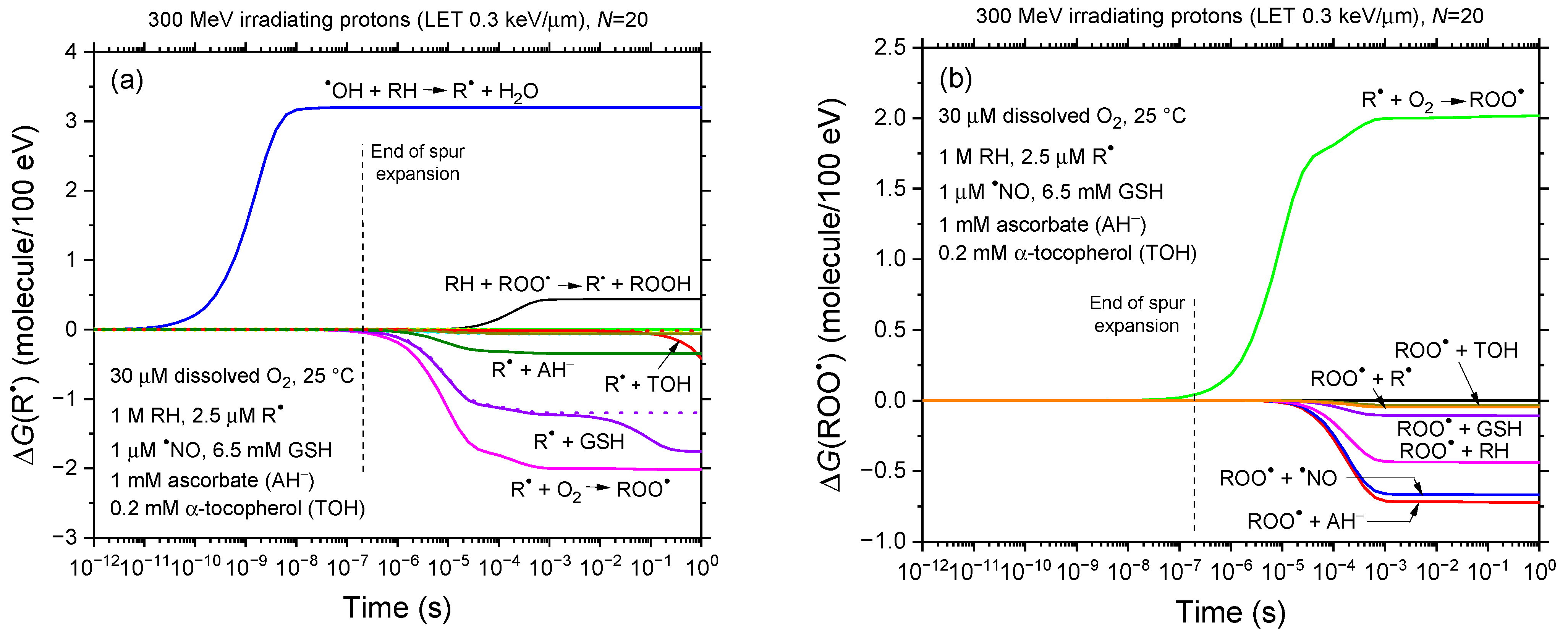 Antioxidants 14 00406 g002