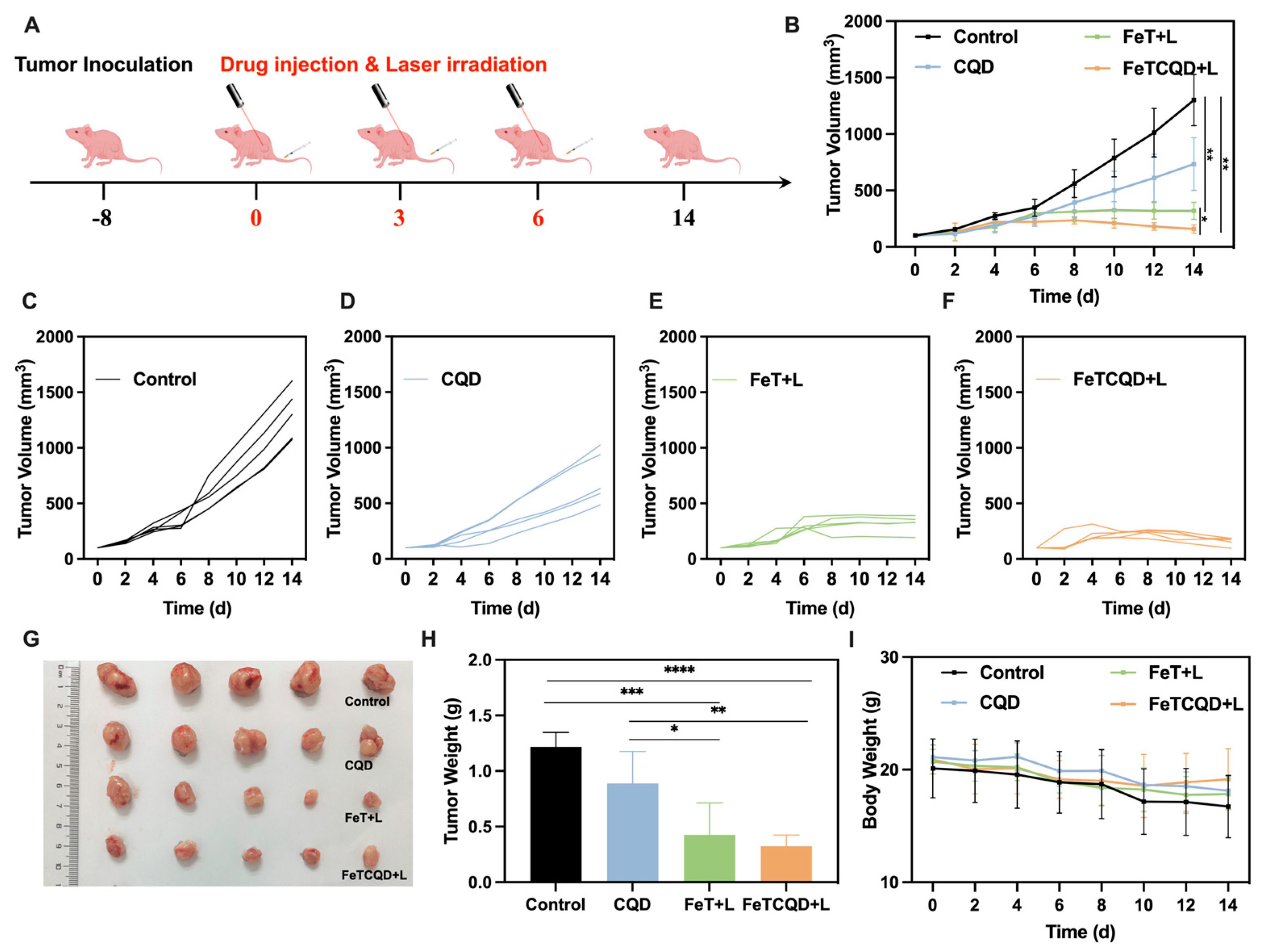 Antioxidants 14 00407 g004