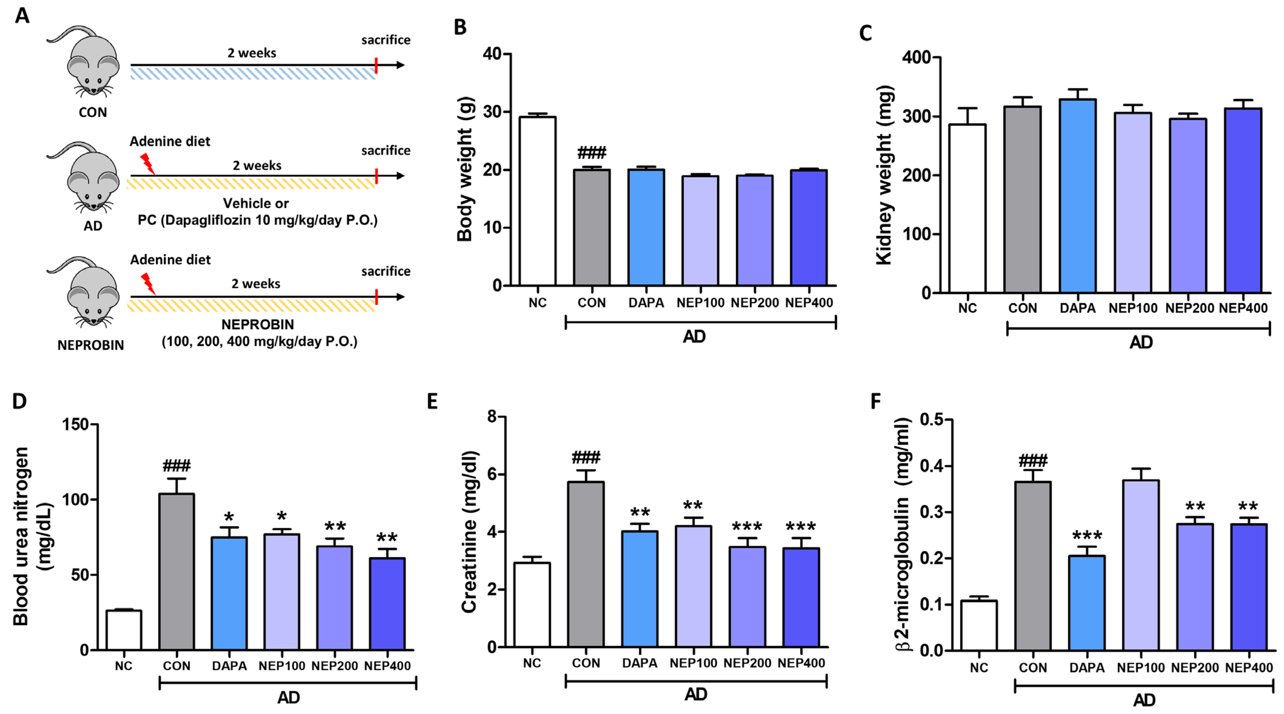 Antioxidants 14 00409 g004 Antioxidants 14 00409 g004