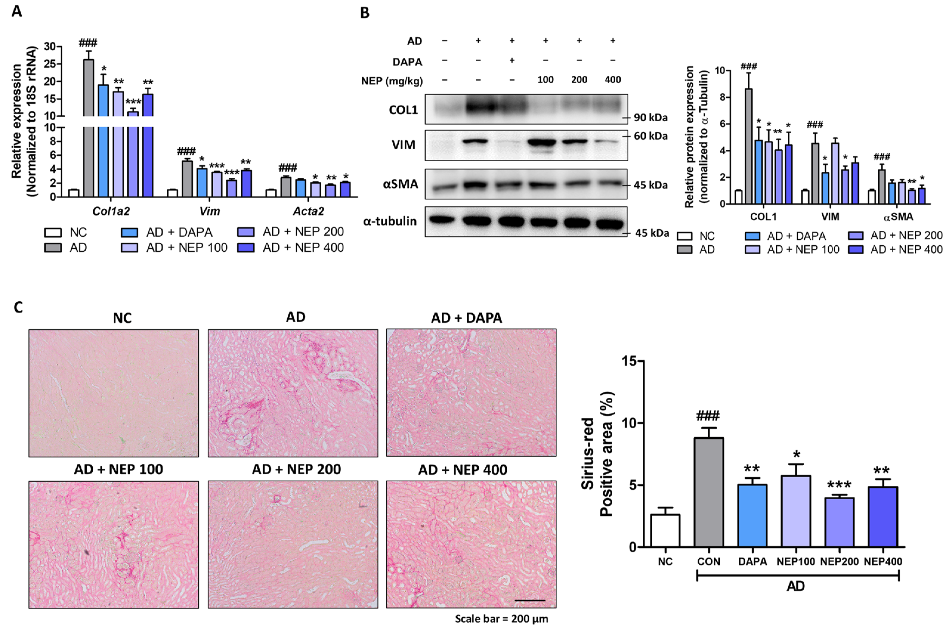 Antioxidants 14 00409 g007 Antioxidants 14 00409 g007