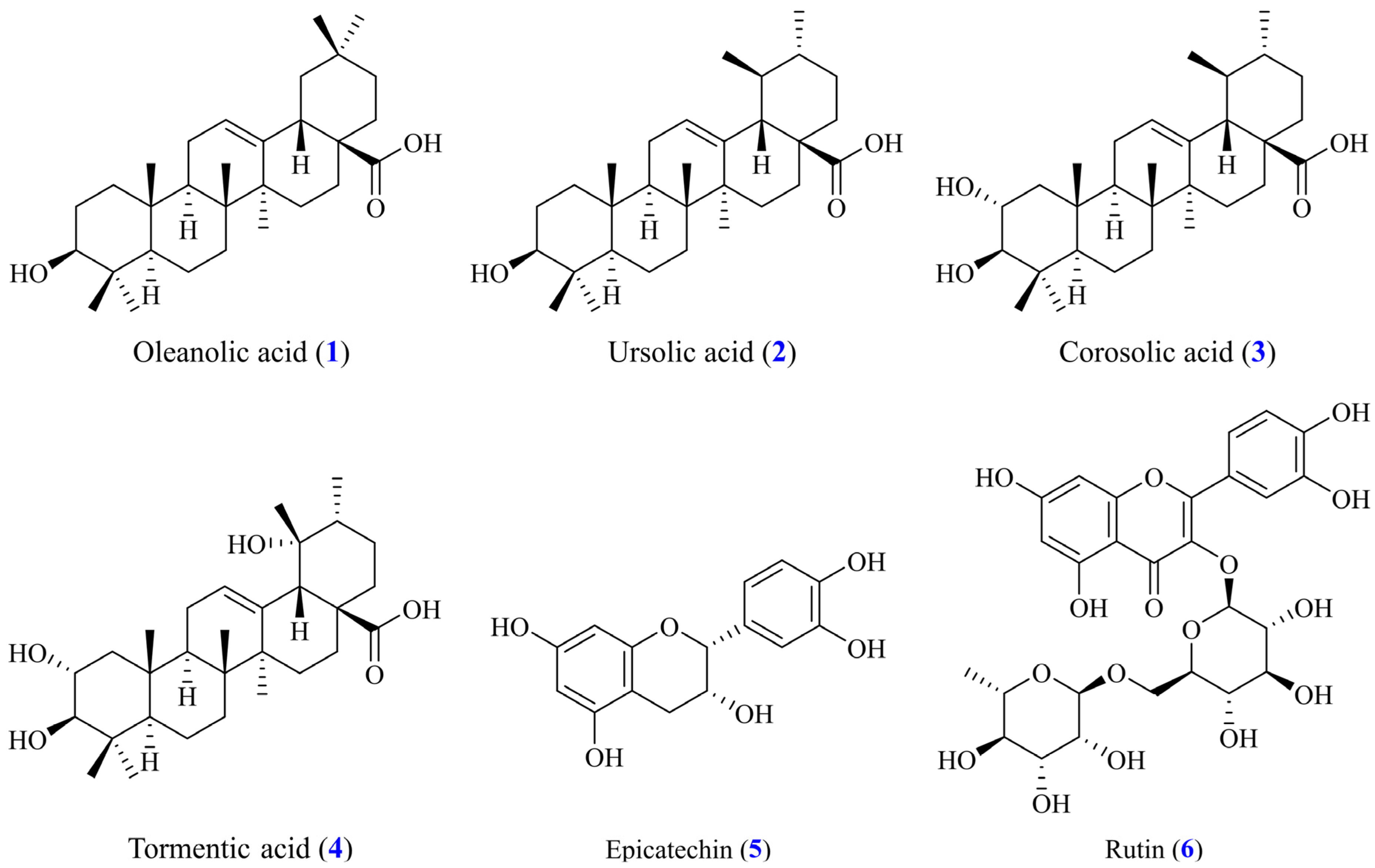 Antioxidants 14 00413 g002