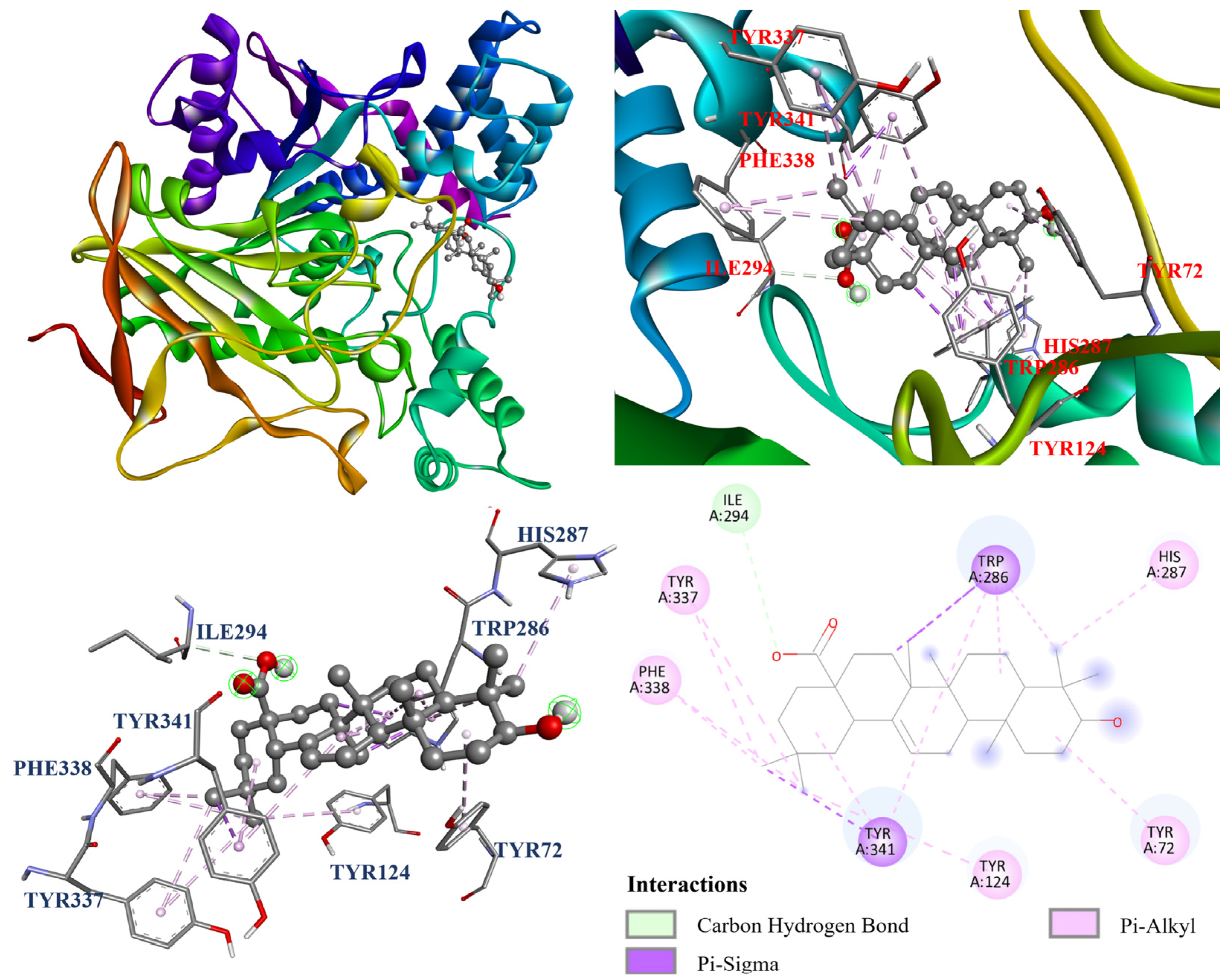 Antioxidants 14 00413 g007