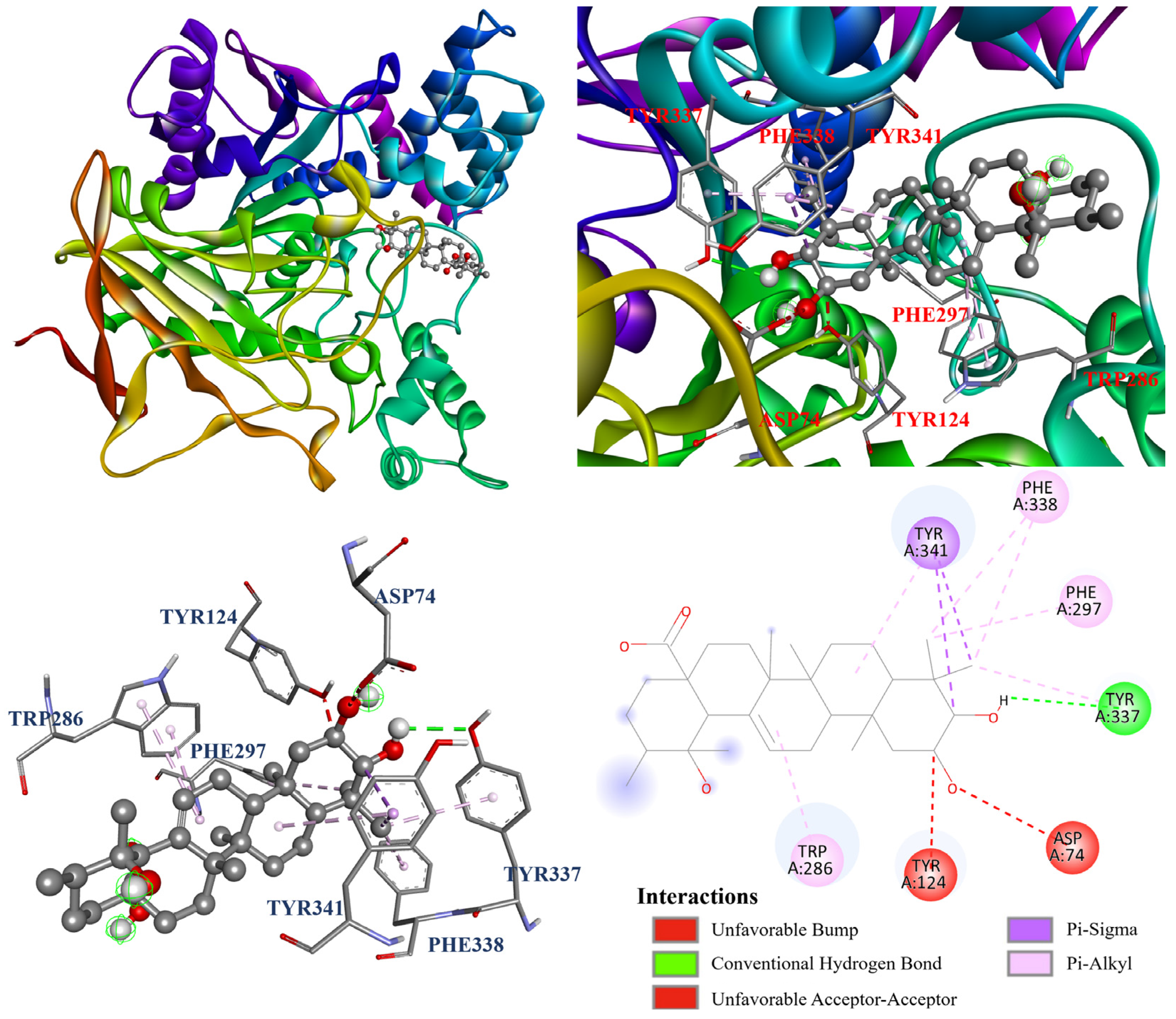 Antioxidants 14 00413 g010