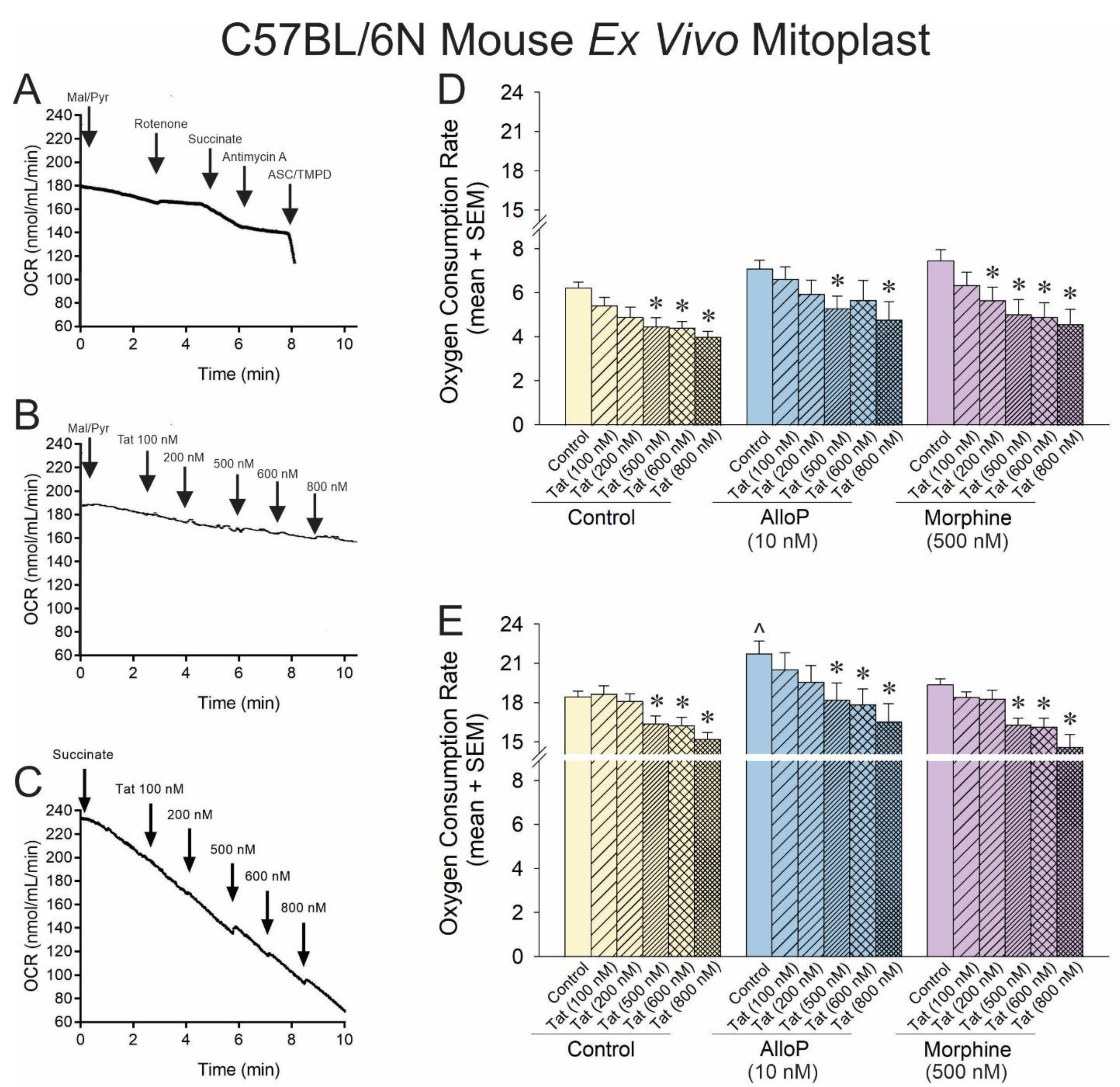 Antioxidants 14 00420 g003