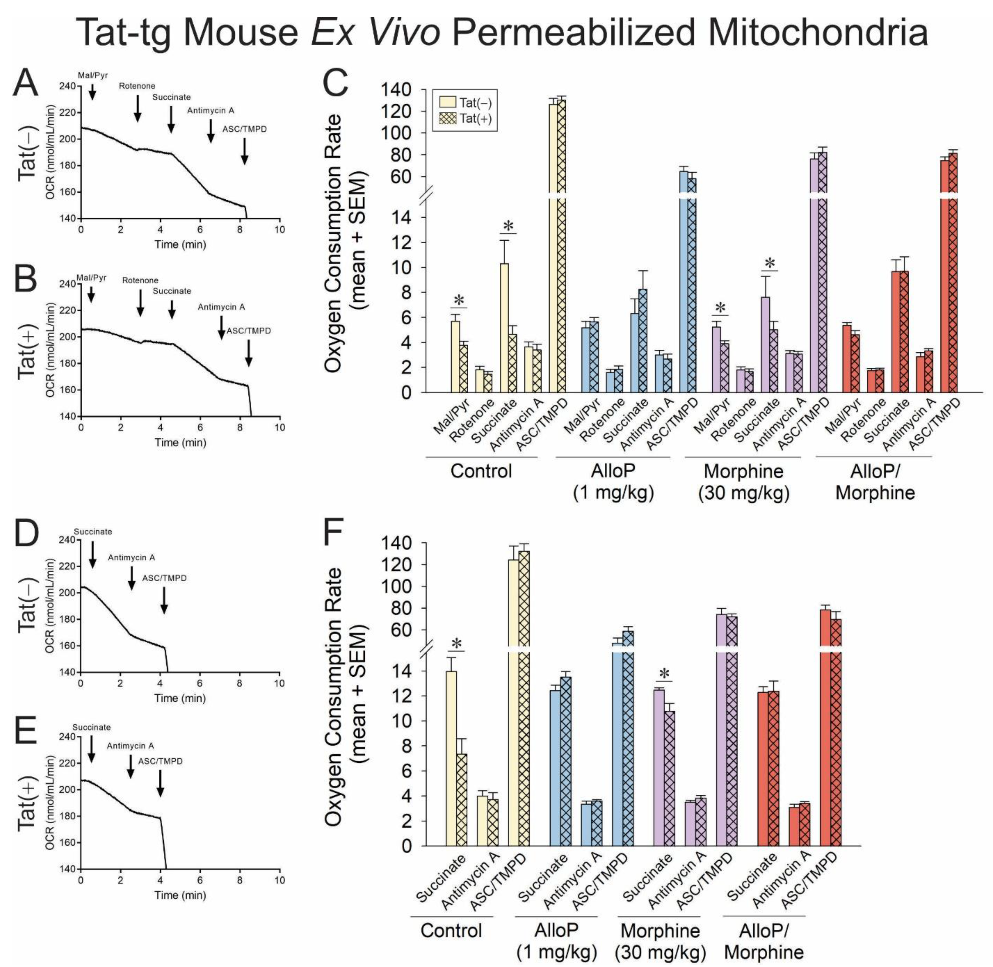 Antioxidants 14 00420 g004