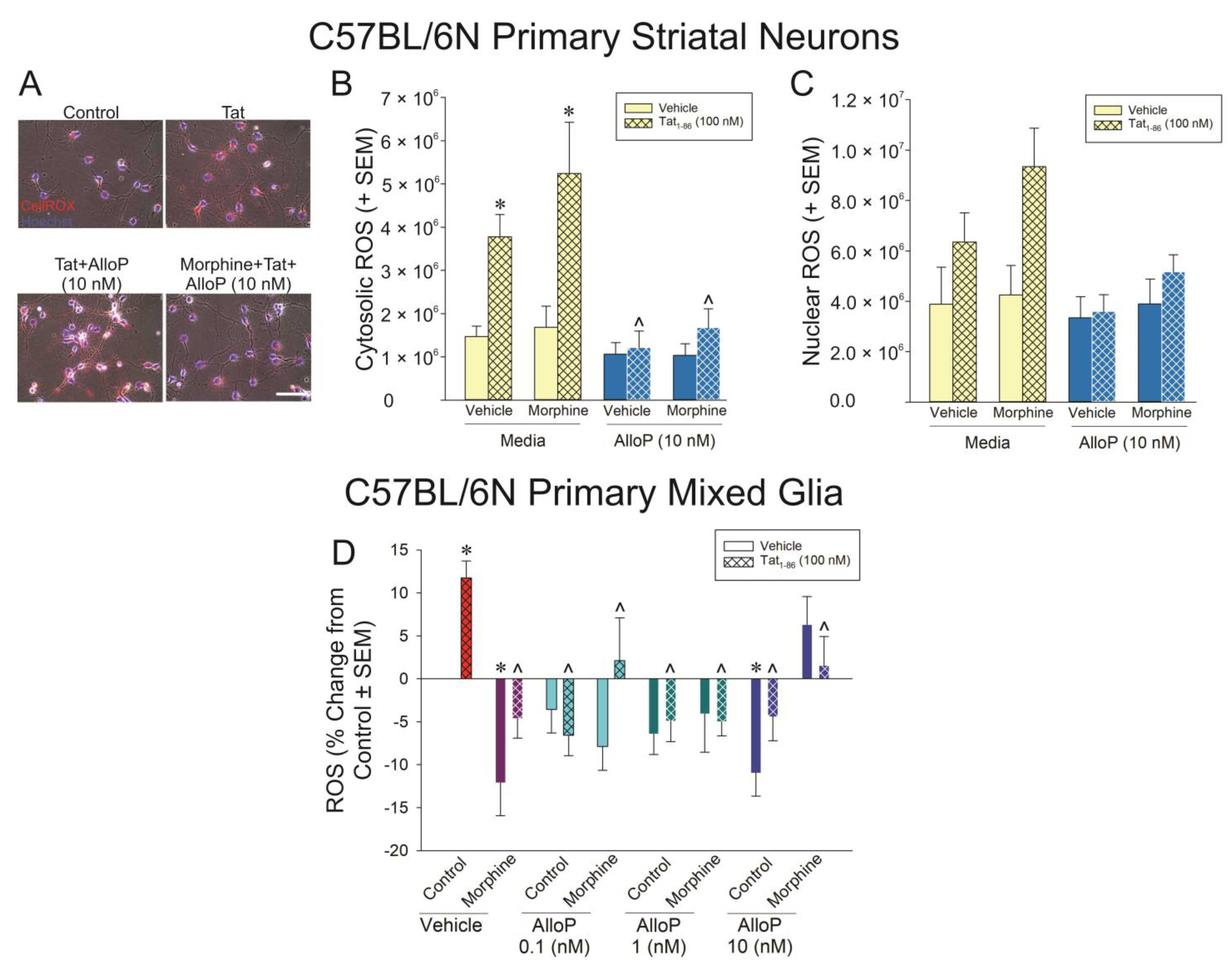 Antioxidants 14 00420 g006