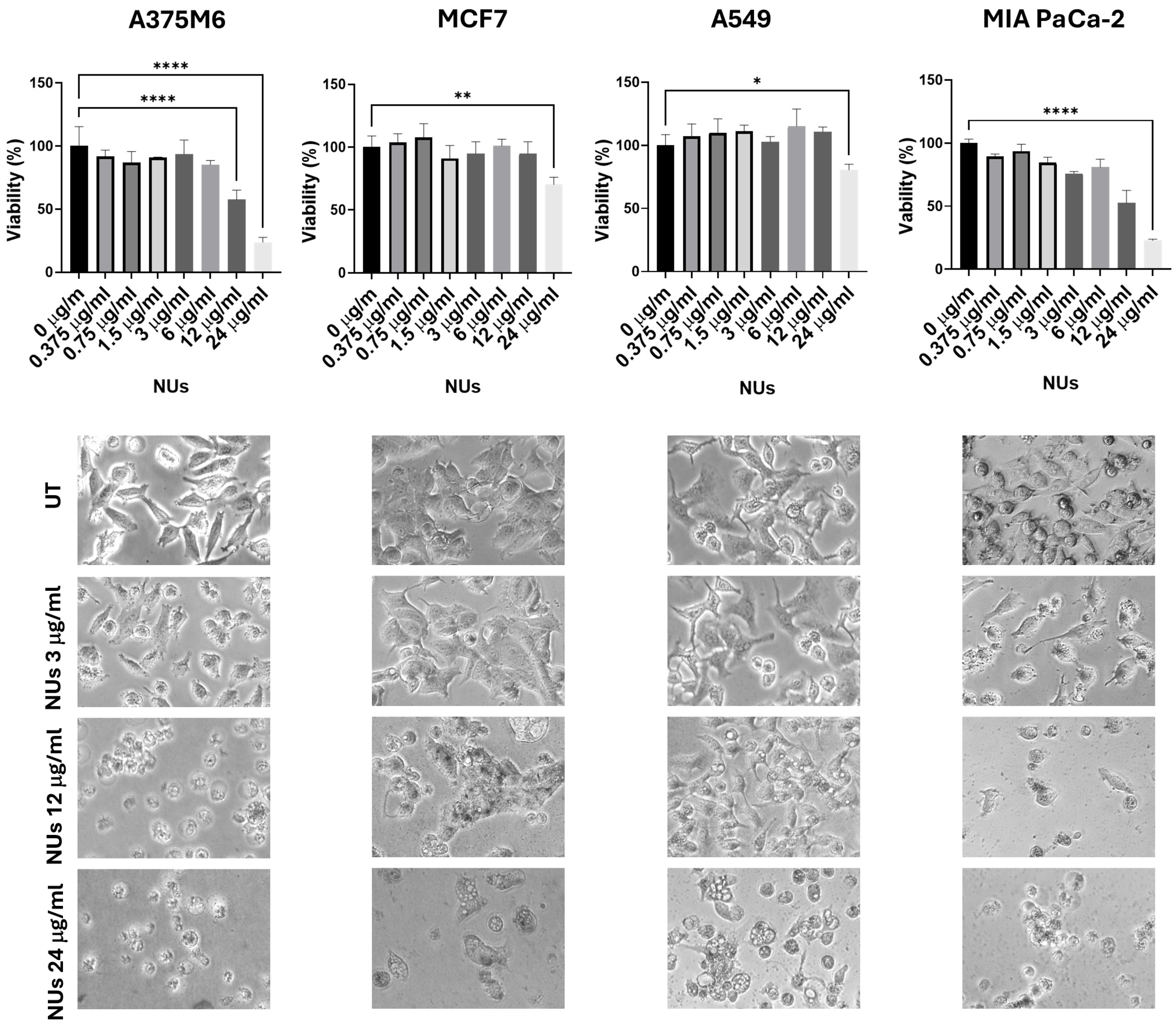 Antioxidants 14 00422 g001