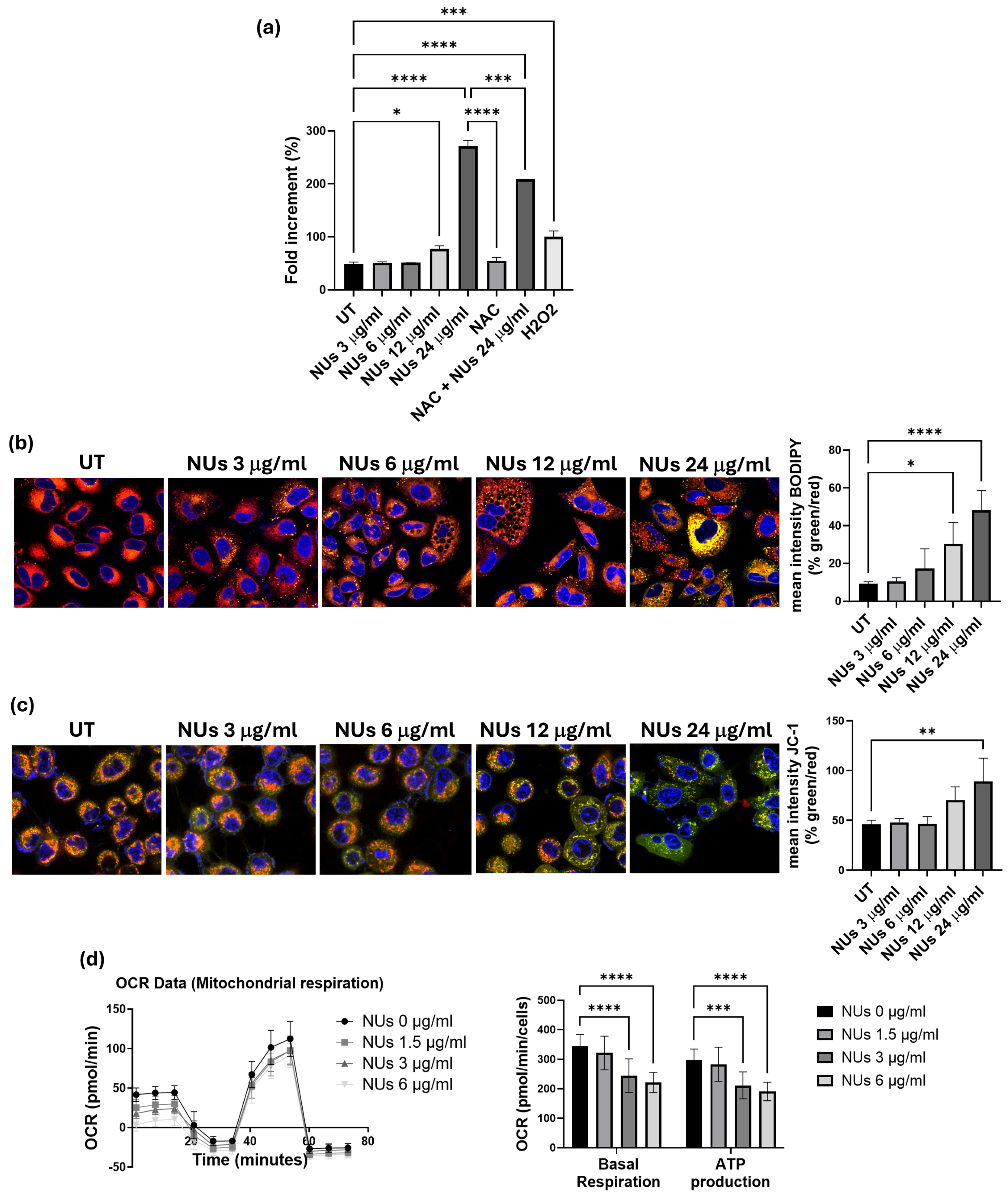 Antioxidants 14 00422 g003
