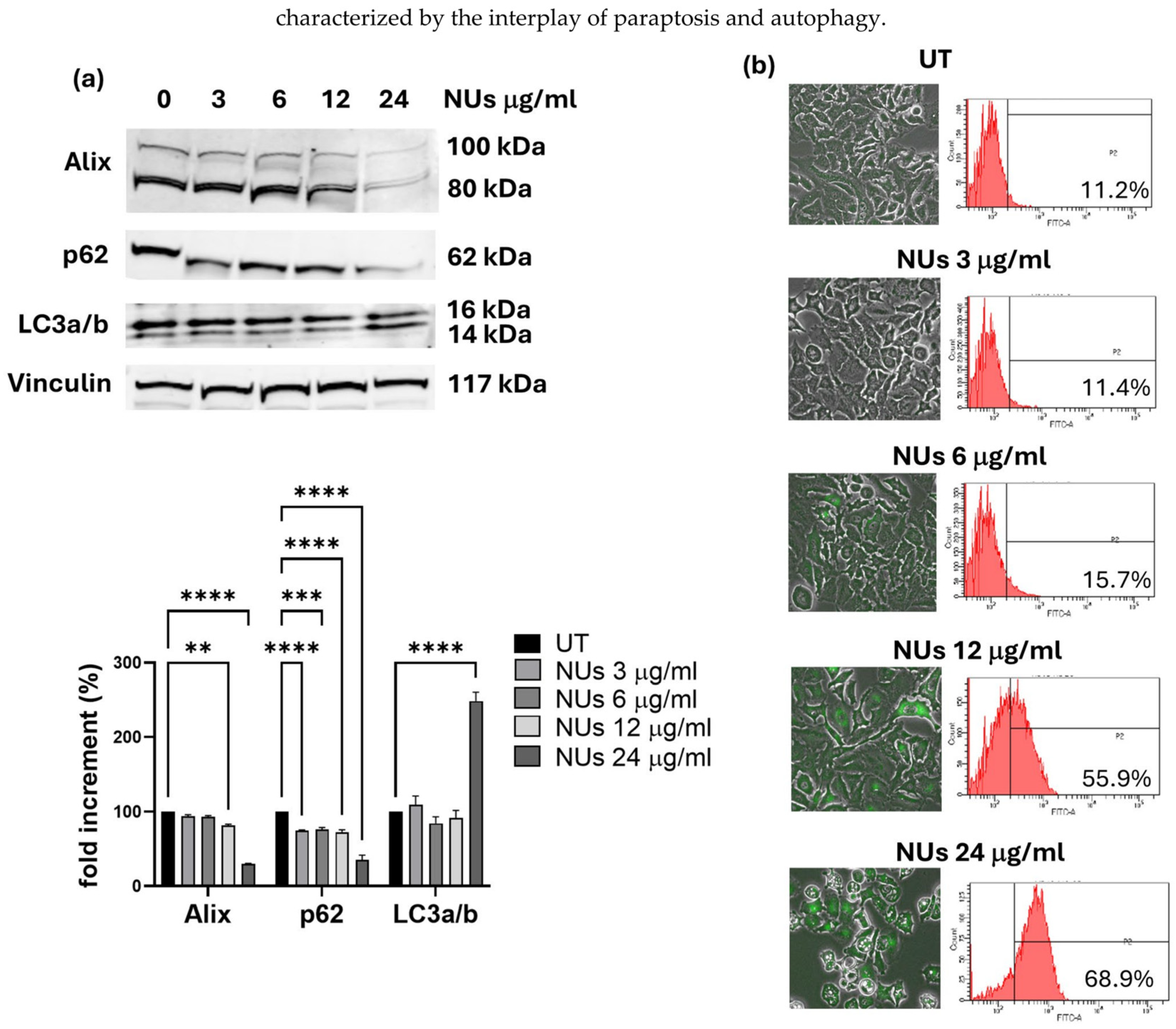 Antioxidants 14 00422 g004