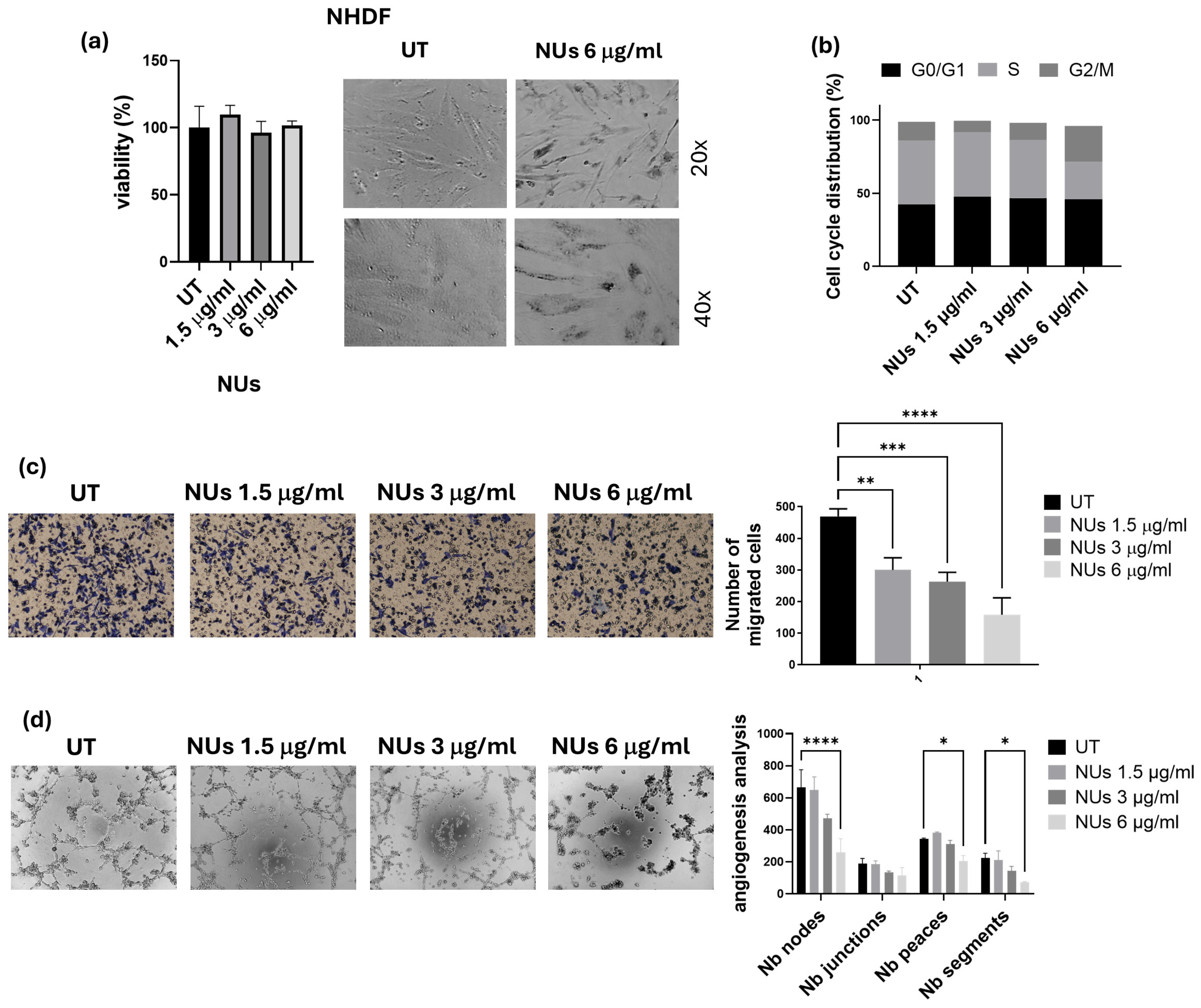 Antioxidants 14 00422 g005