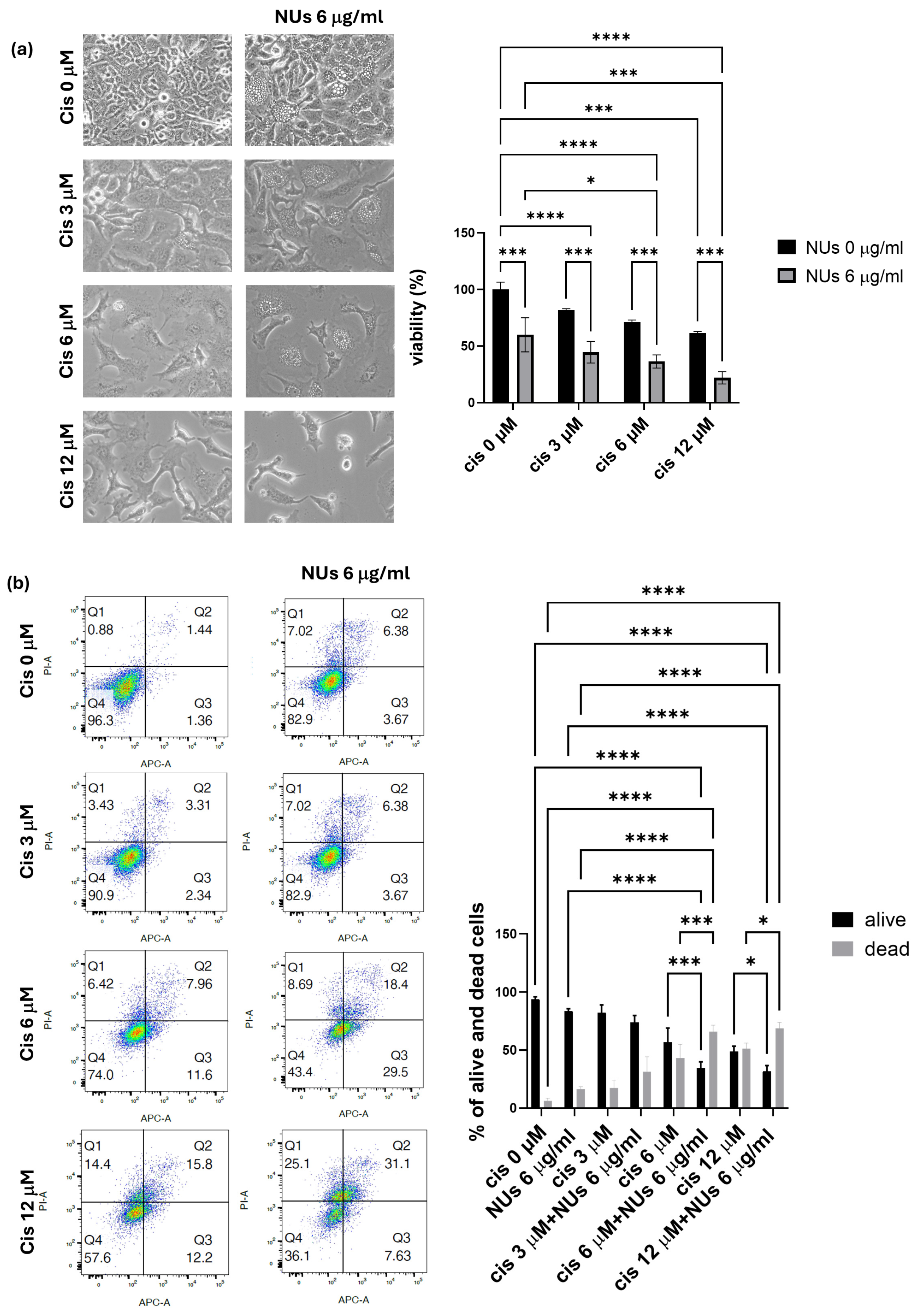 Antioxidants 14 00422 g006