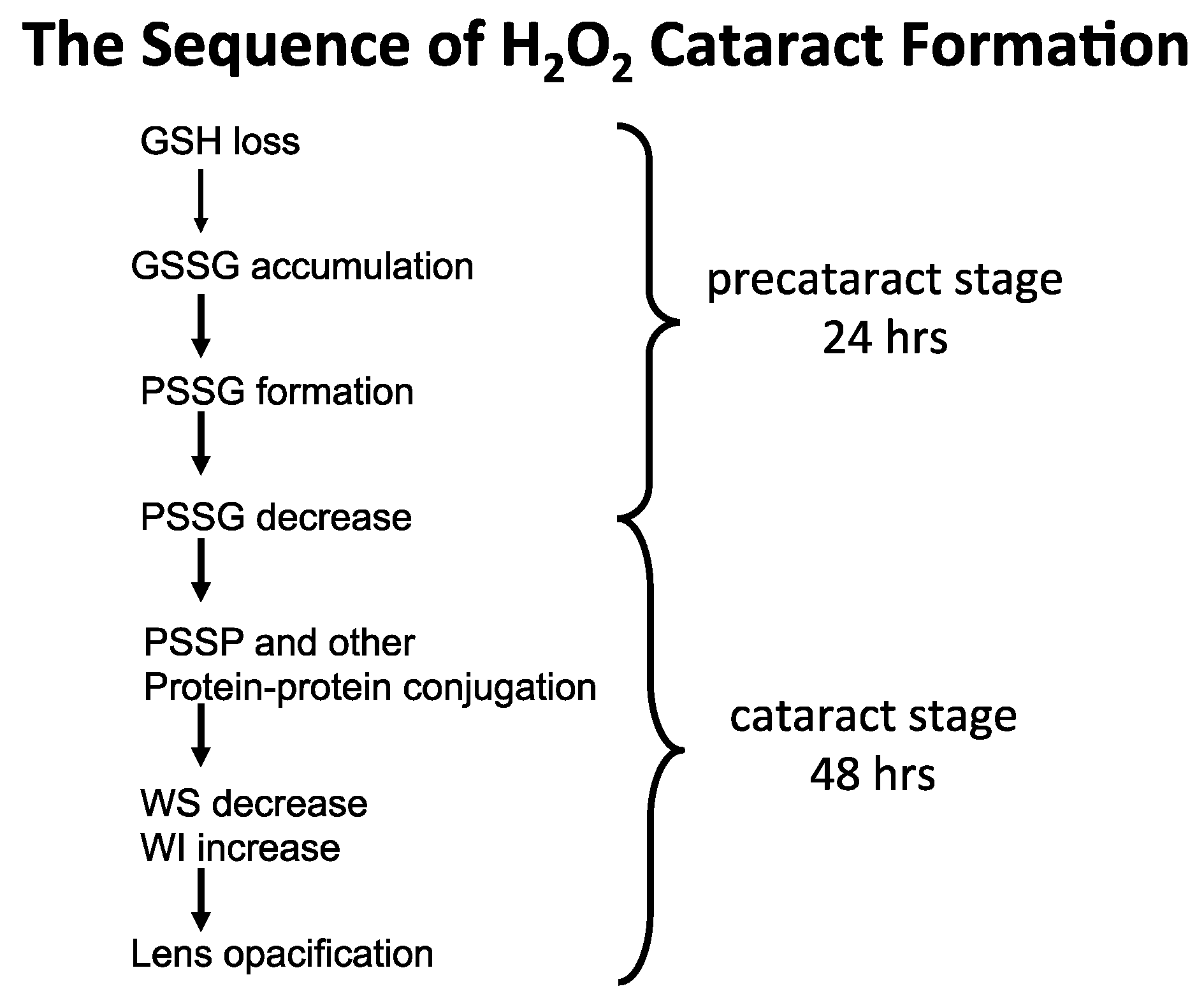 Antioxidants 14 00425 g007
