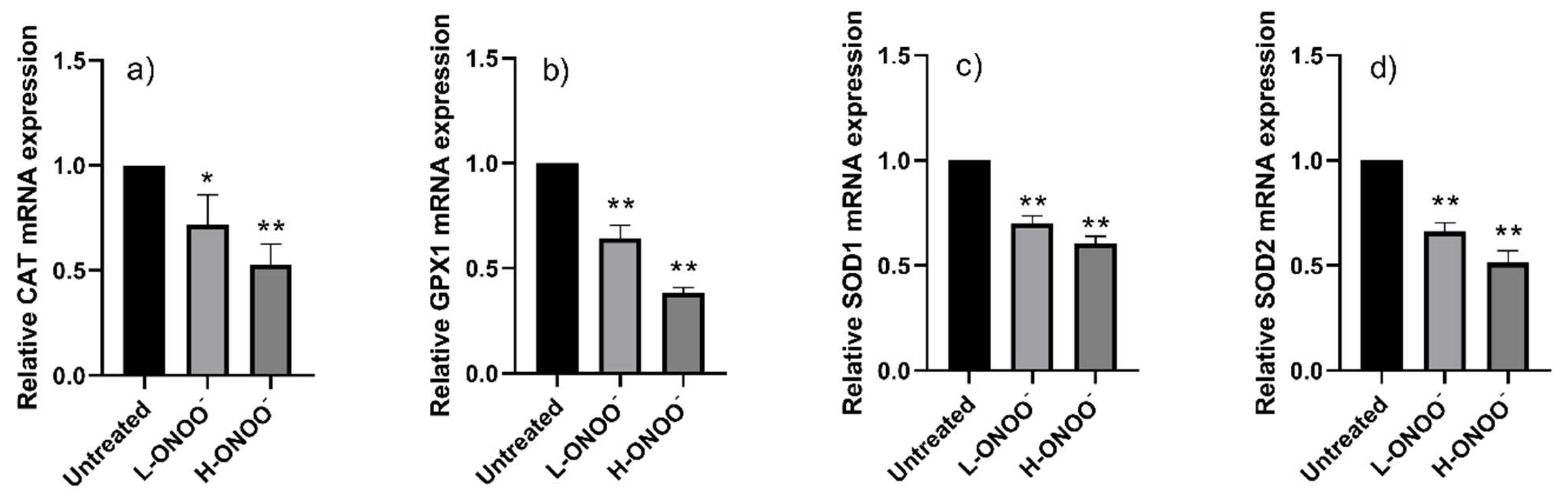 Antioxidants 14 00427 g001