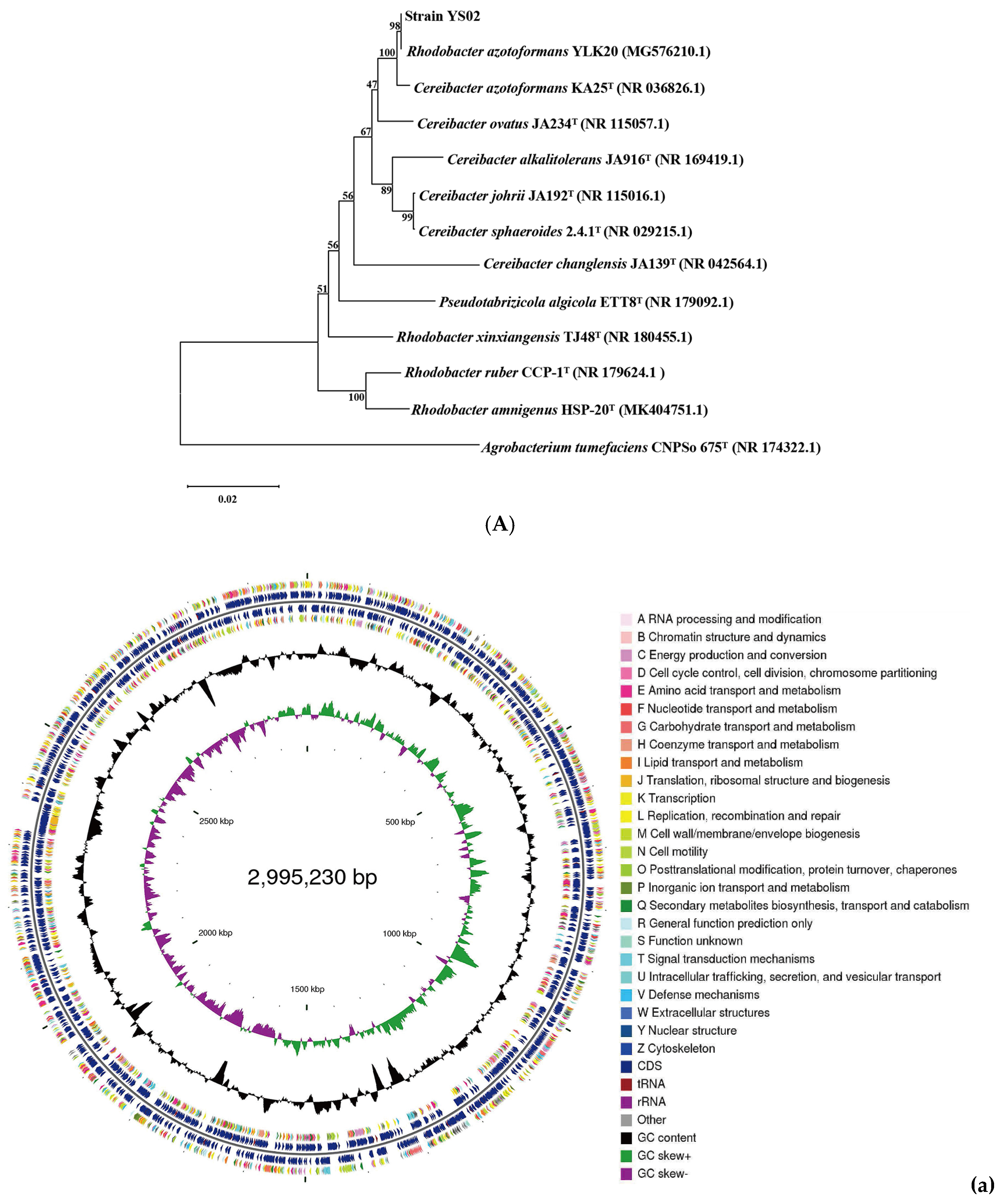 Antioxidants 14 00429 g001a