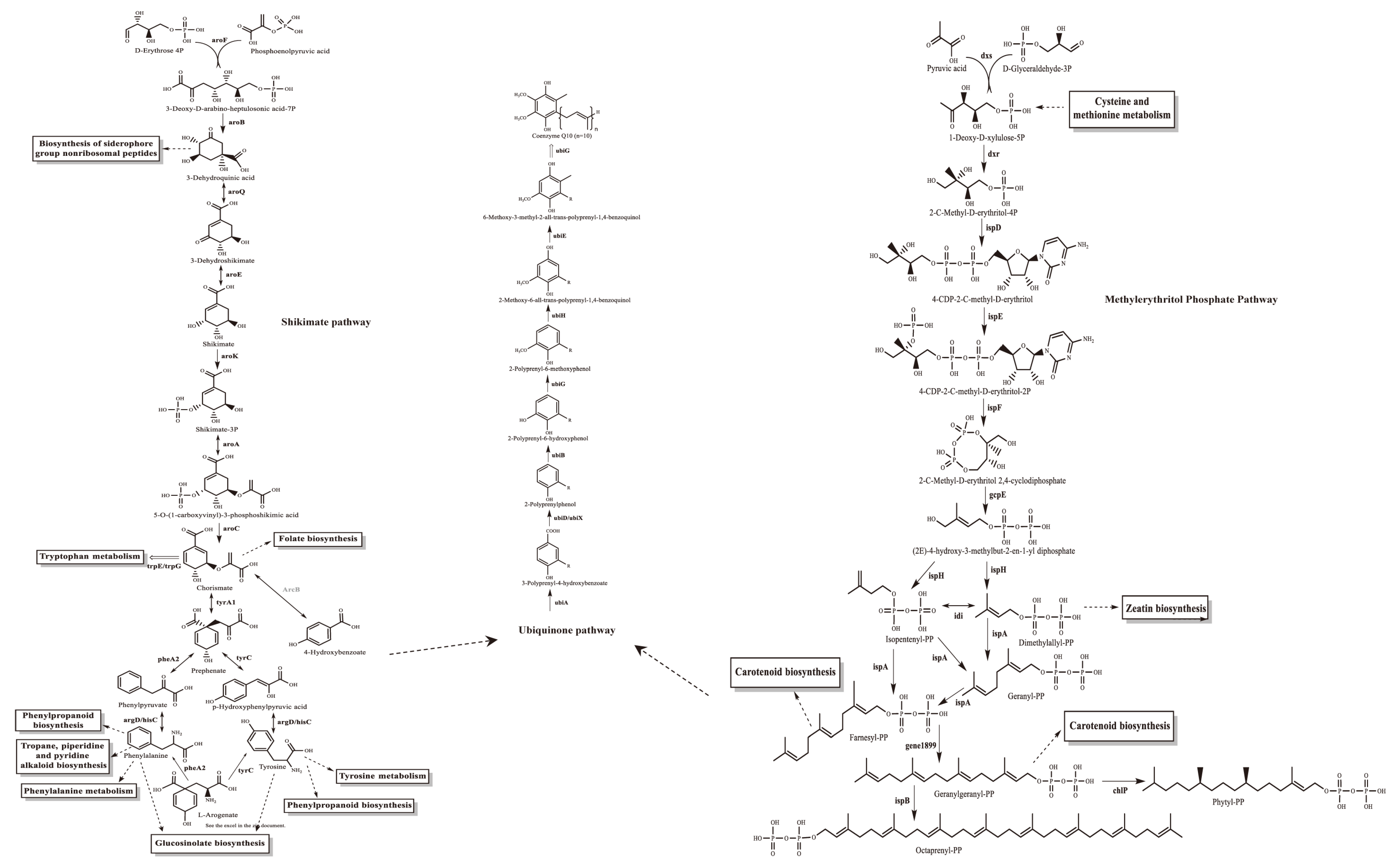 Antioxidants 14 00429 g002
