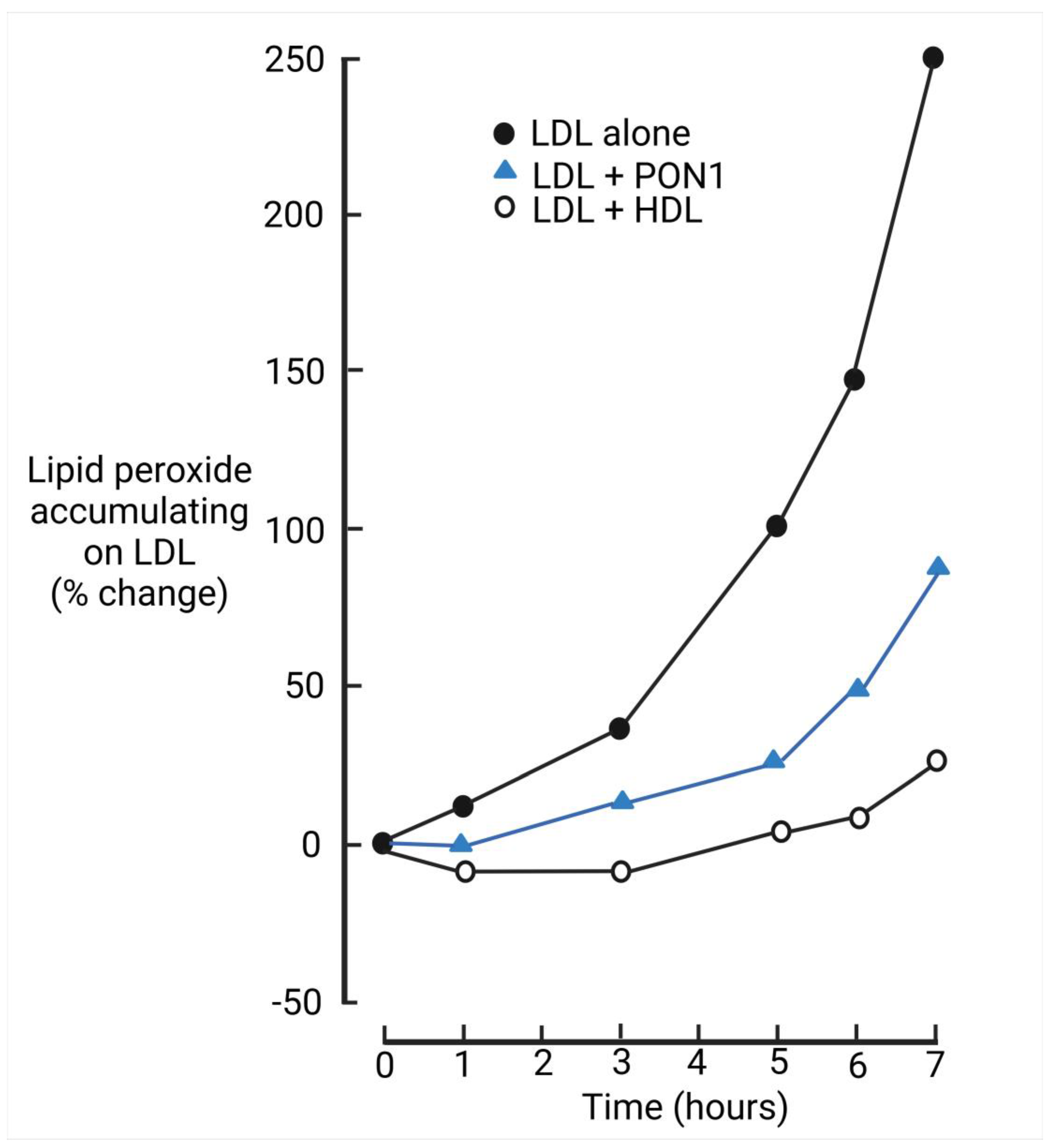 Antioxidants 14 00430 g001 Antioxidants 14 00430 g001