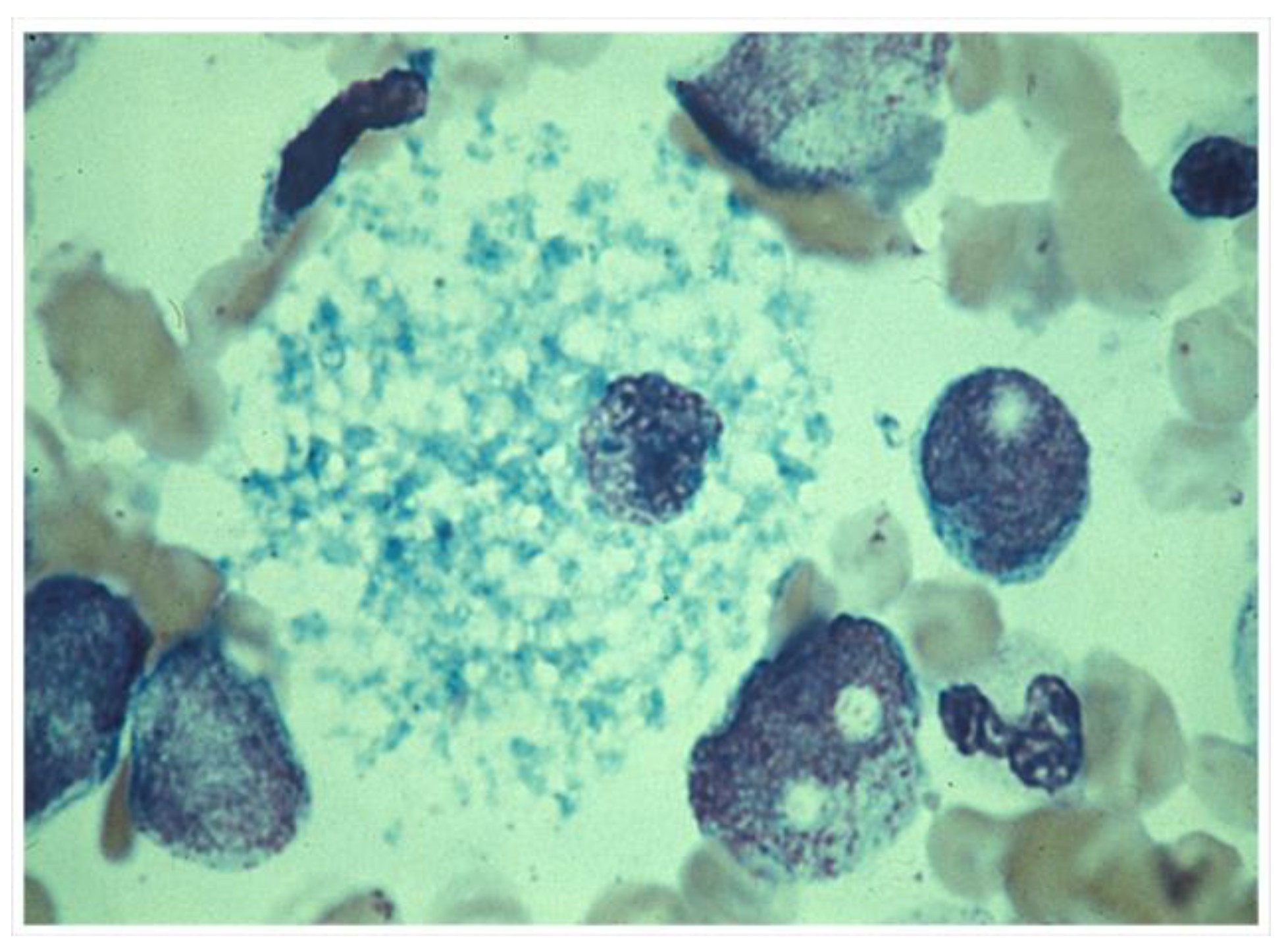 Antioxidants 14 00430 g002 Antioxidants 14 00430 g002