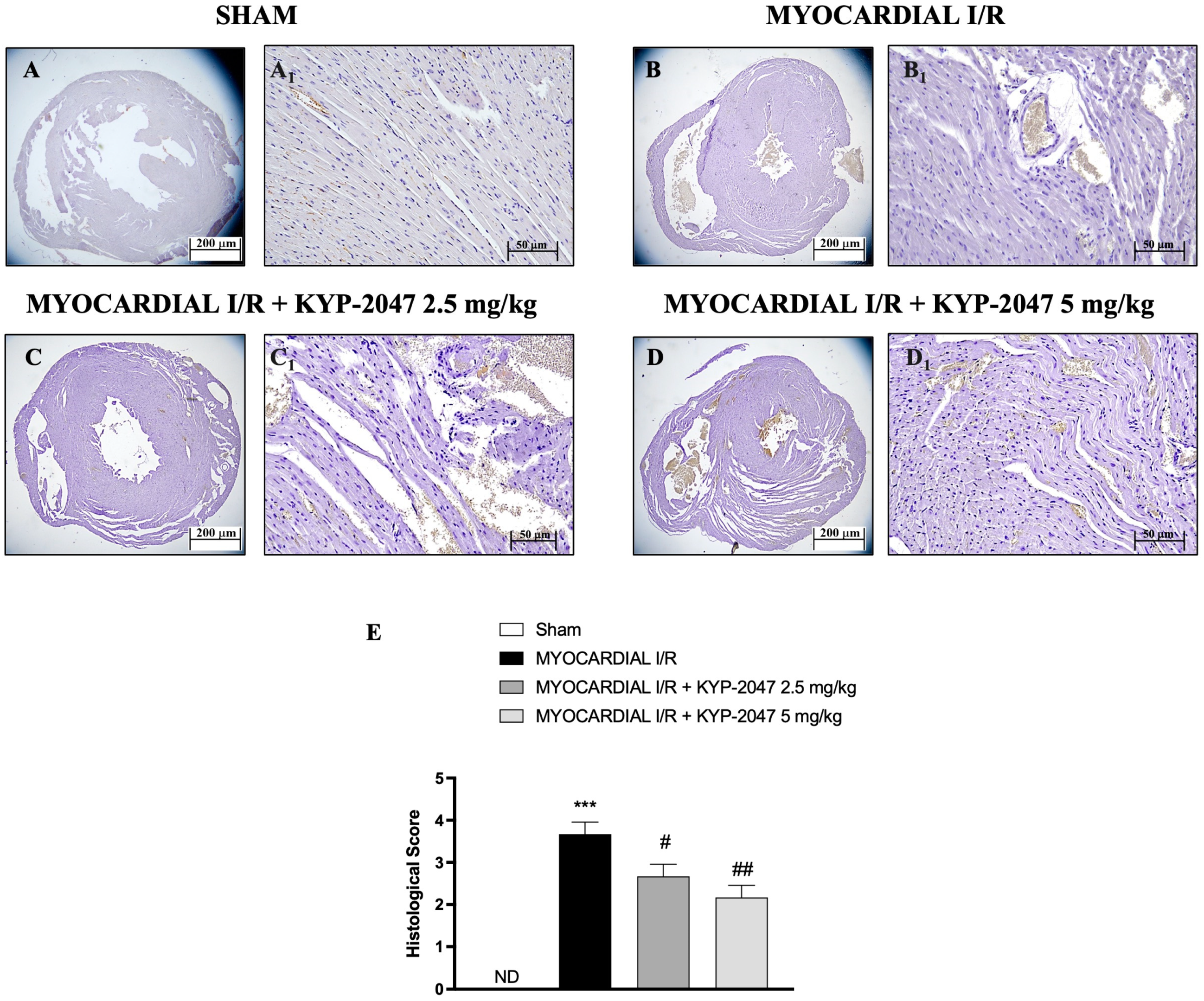 Antioxidants 14 00442 g001