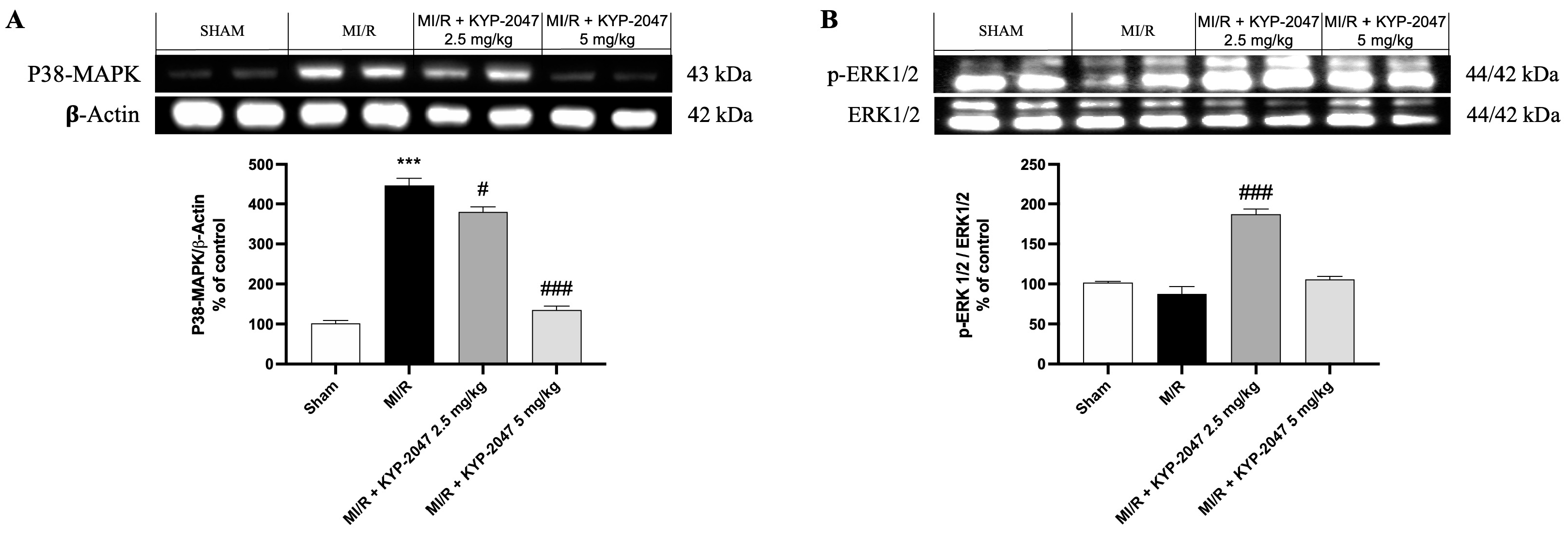 Antioxidants 14 00442 g007