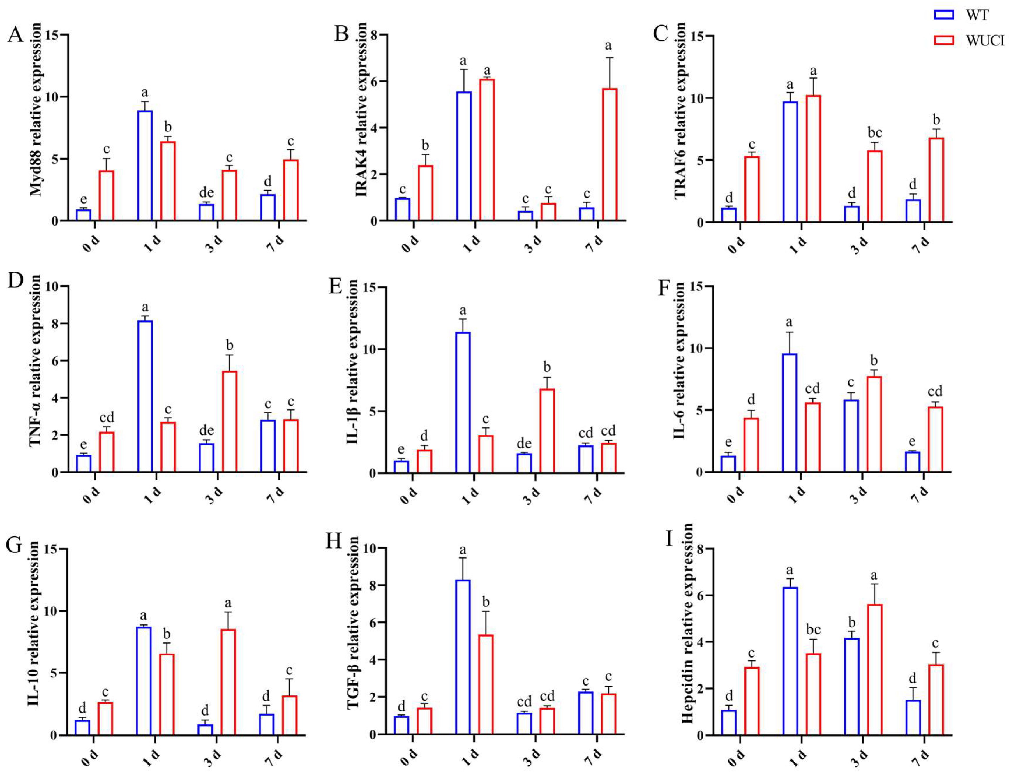Antioxidants 14 00443 g004