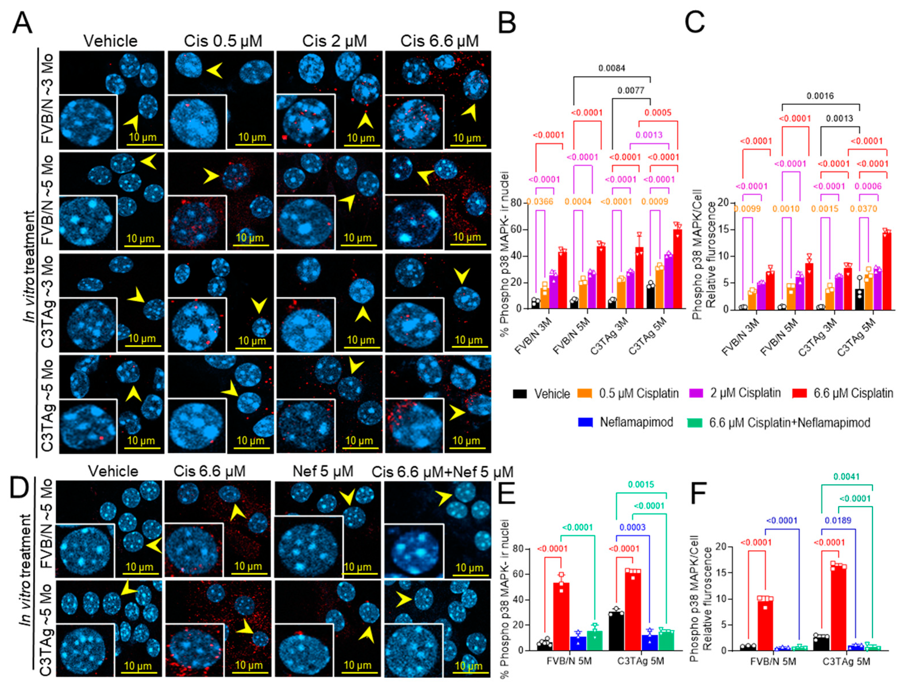 Antioxidants 14 00445 g001