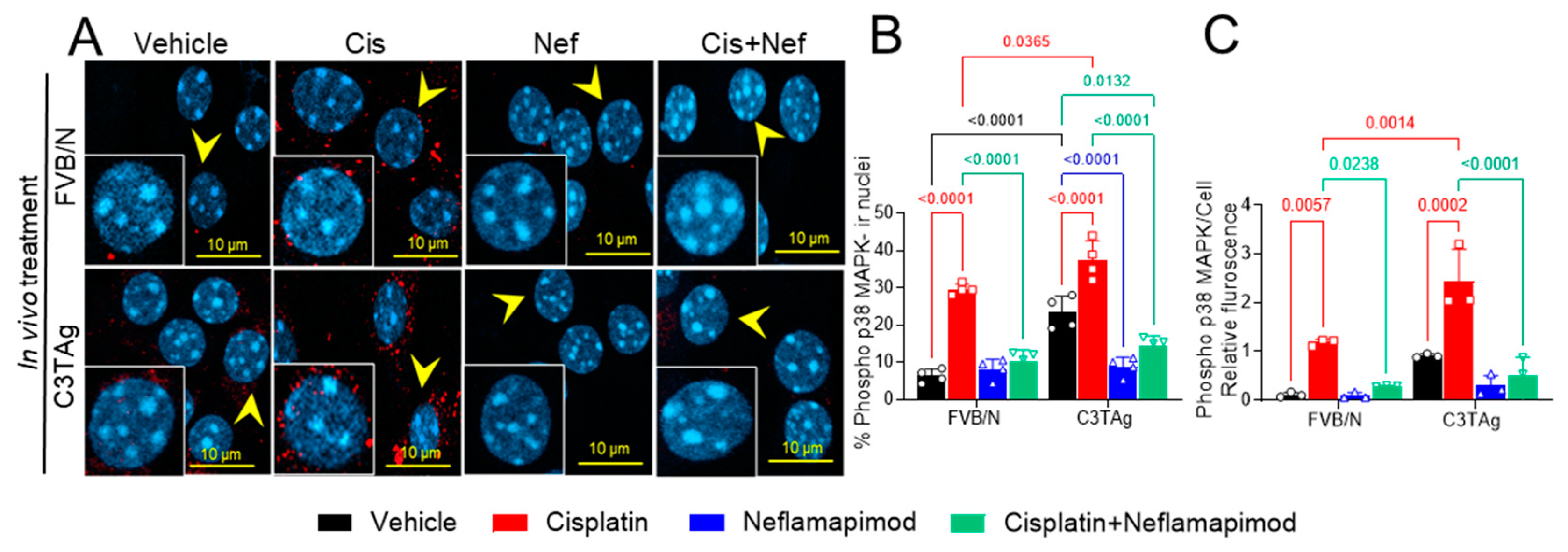 Antioxidants 14 00445 g004