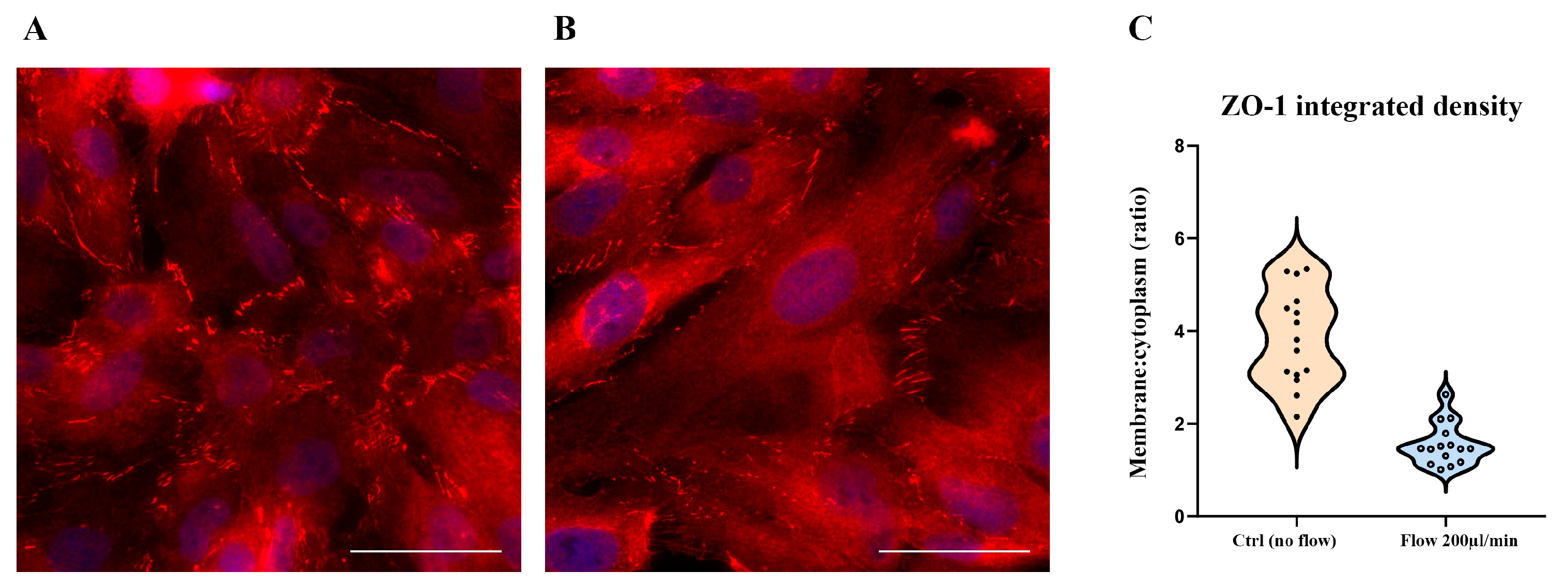 Antioxidants 14 00451 g002