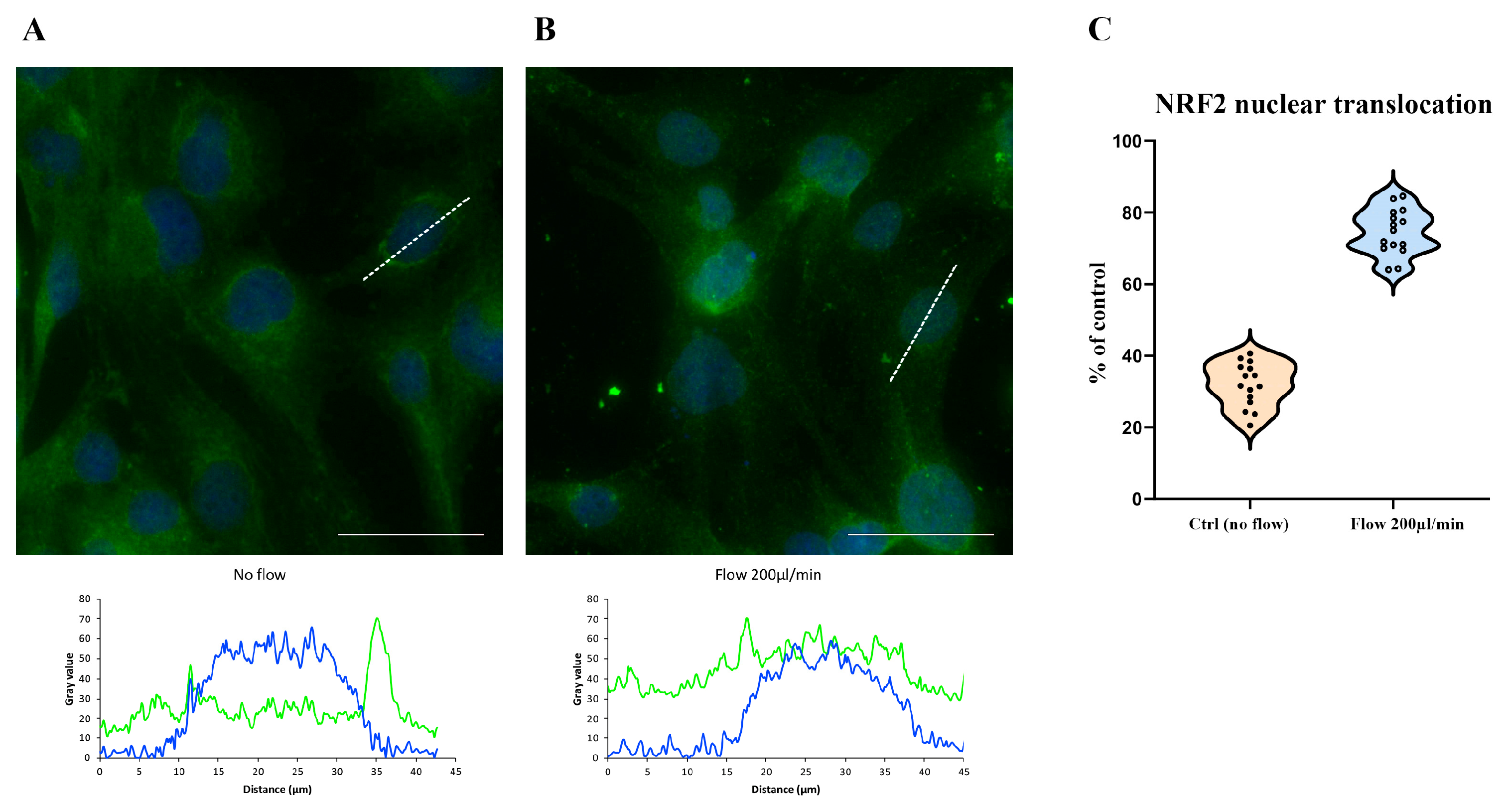 Antioxidants 14 00451 g003