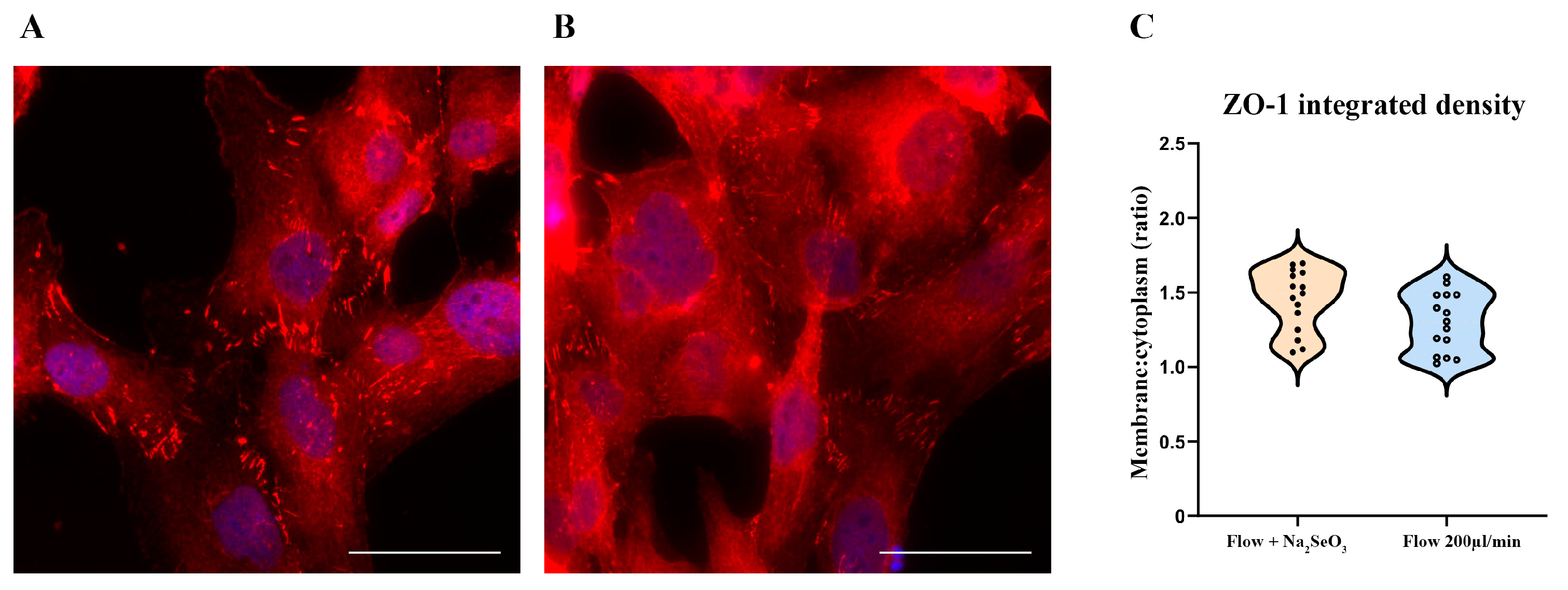 Antioxidants 14 00451 g008