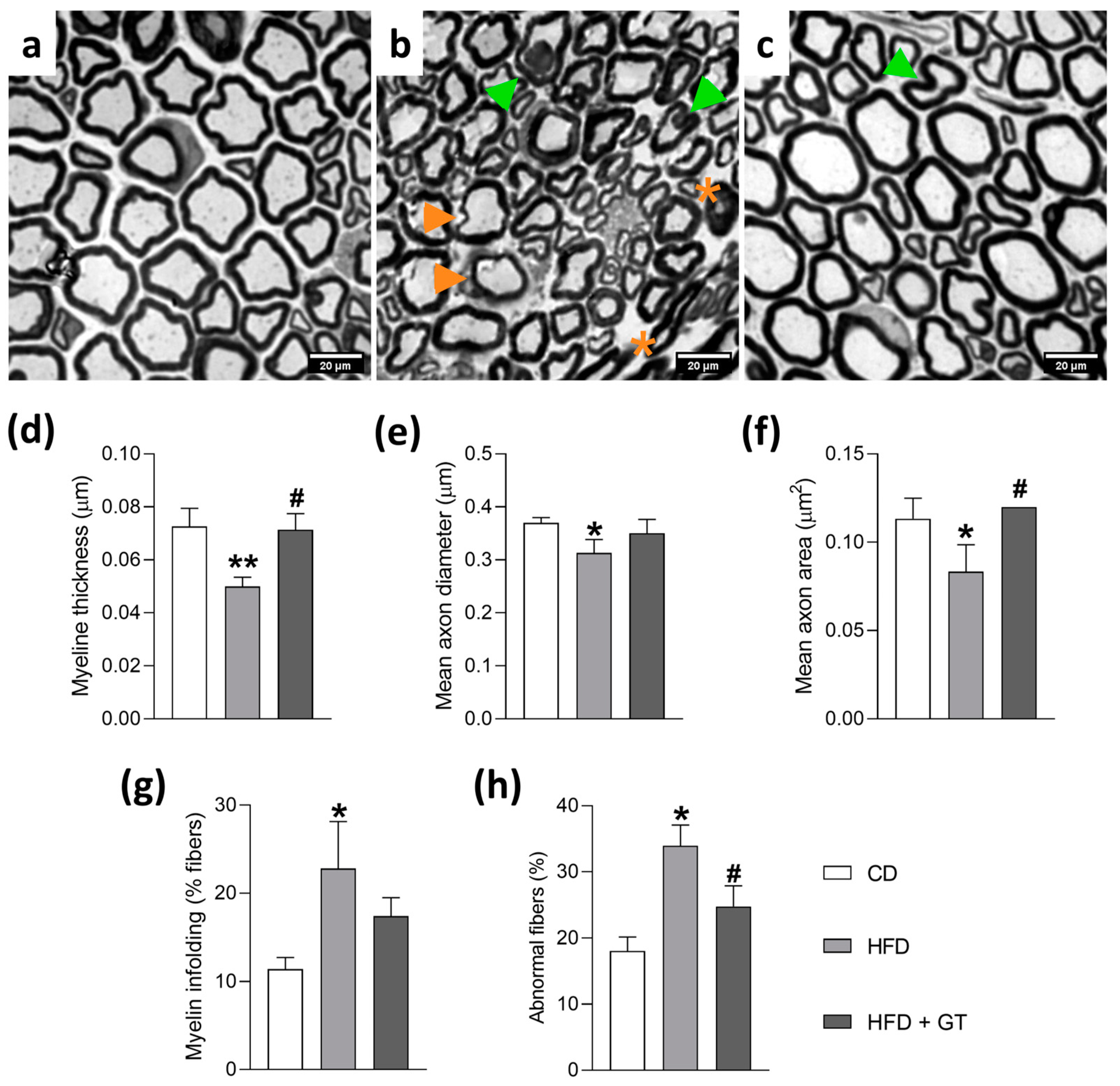 Antioxidants 14 00452 g003