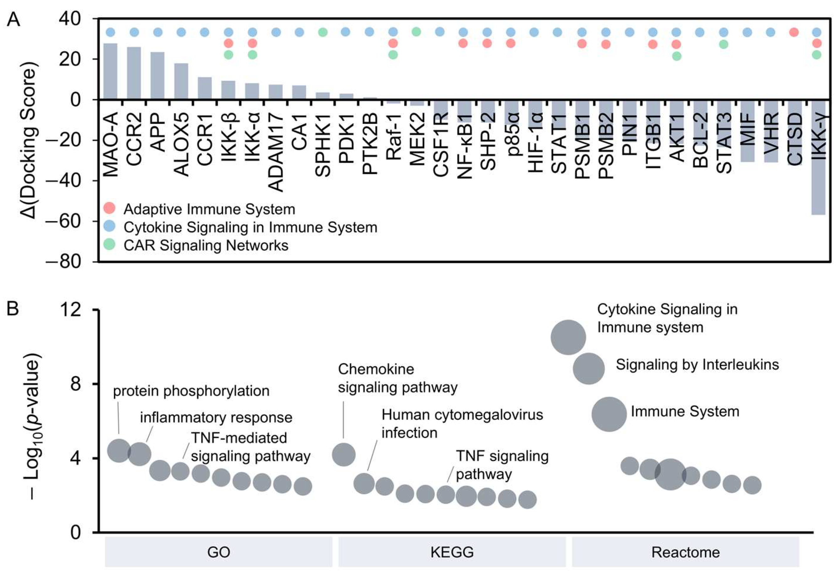 Antioxidants 14 00454 g004