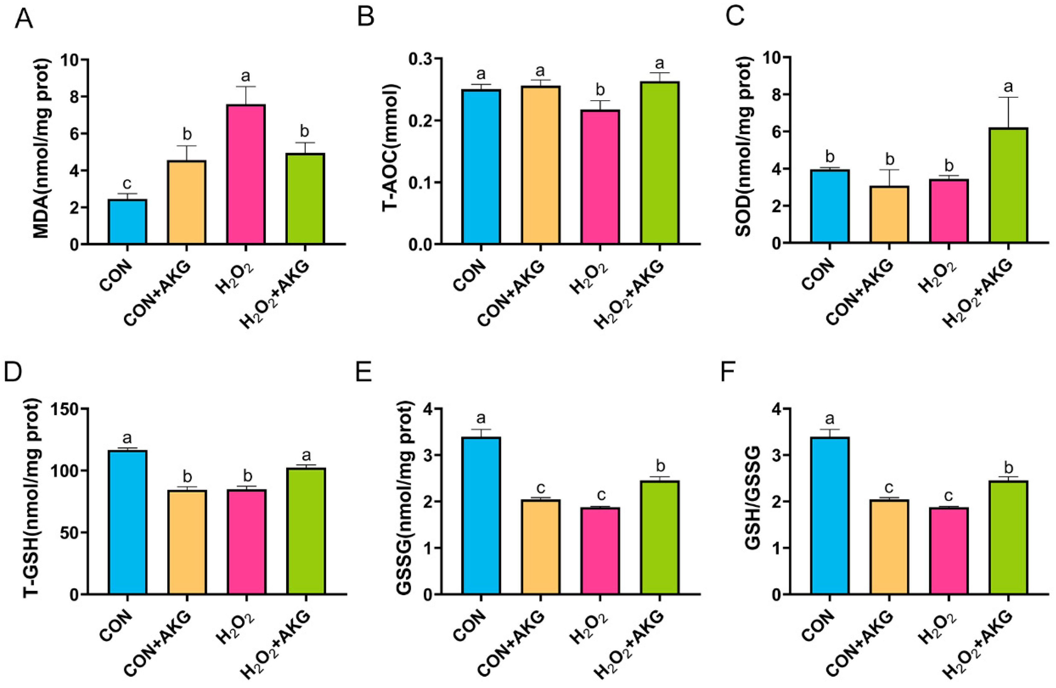 Antioxidants 14 00455 g006
