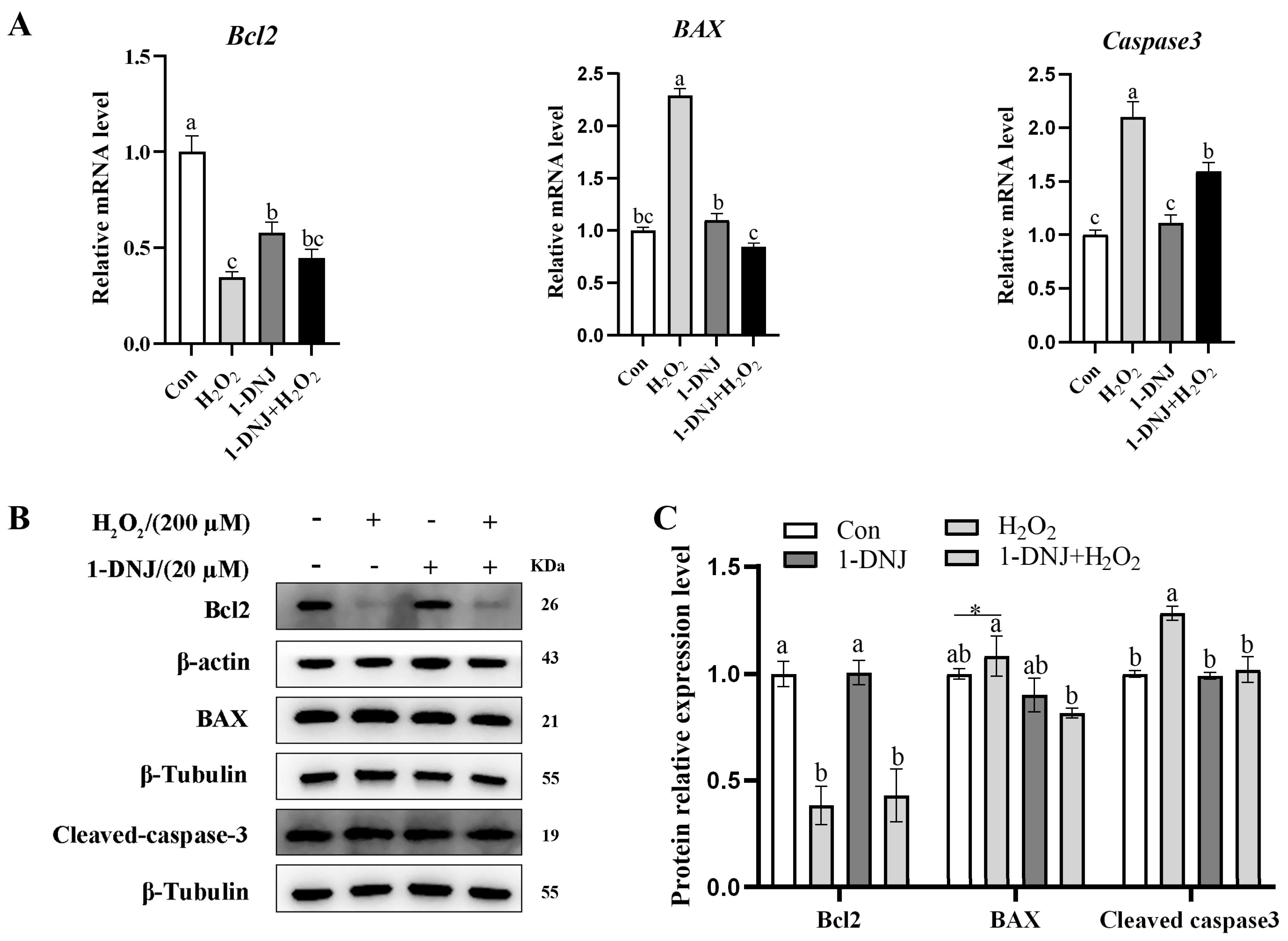 Antioxidants 14 00456 g008